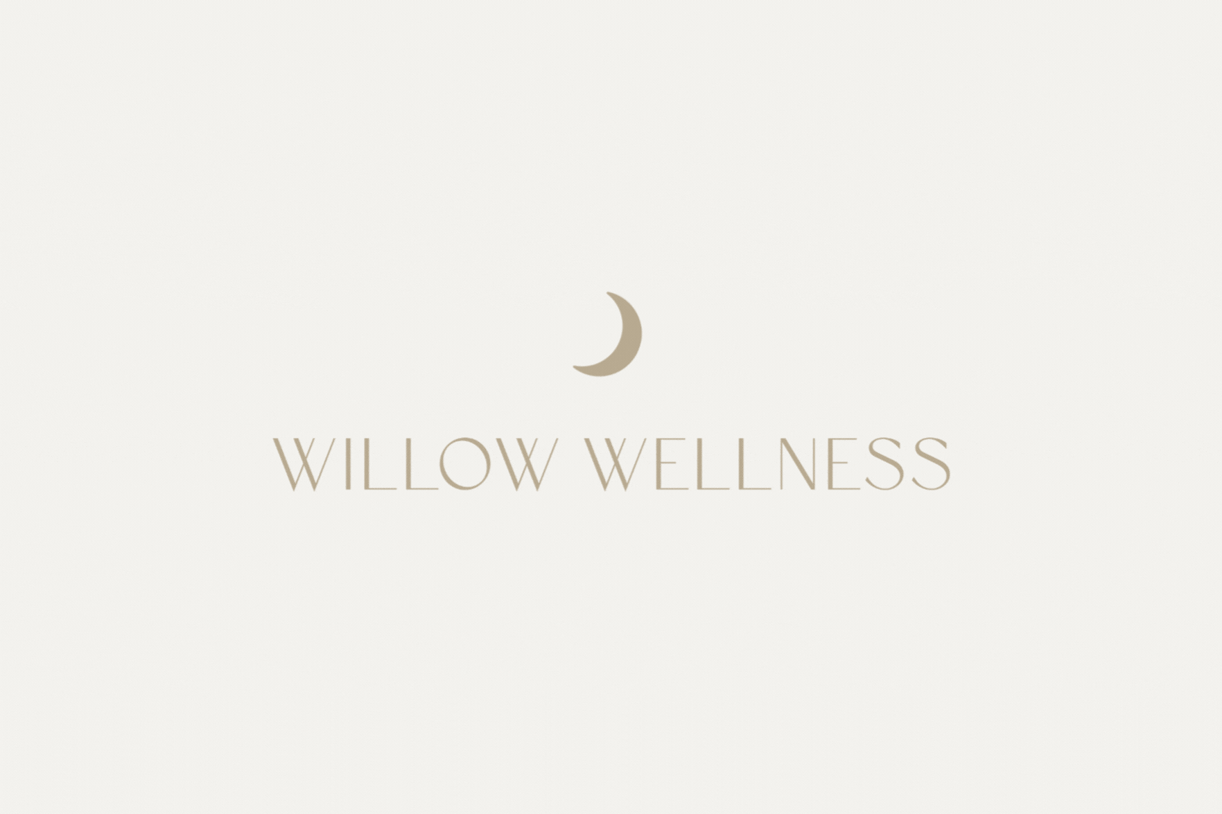Willow Wellness Branding for health and wellness practitioners