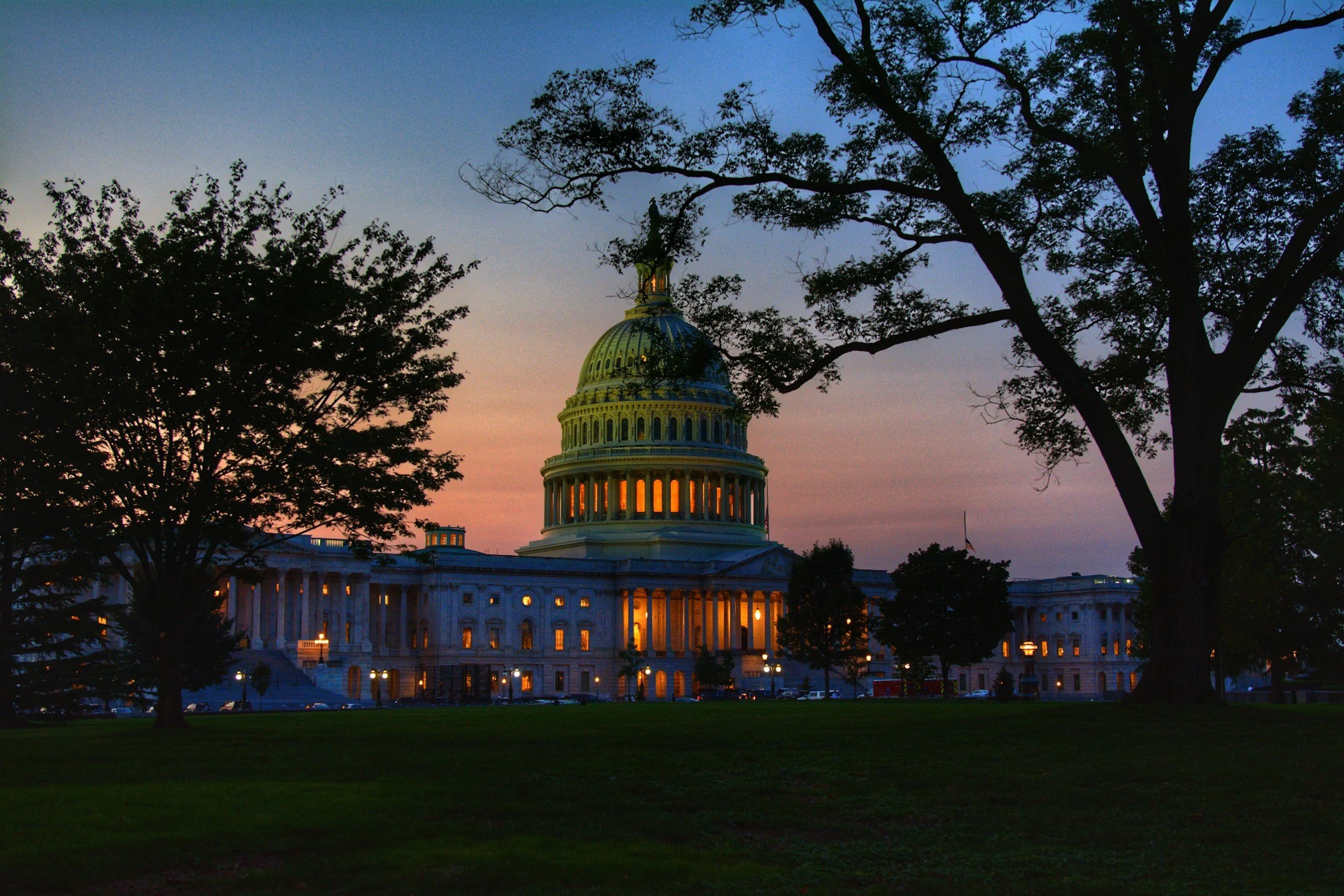 As America marks 250 years, local volunteers head to Washington to demonstrate democracy in action
