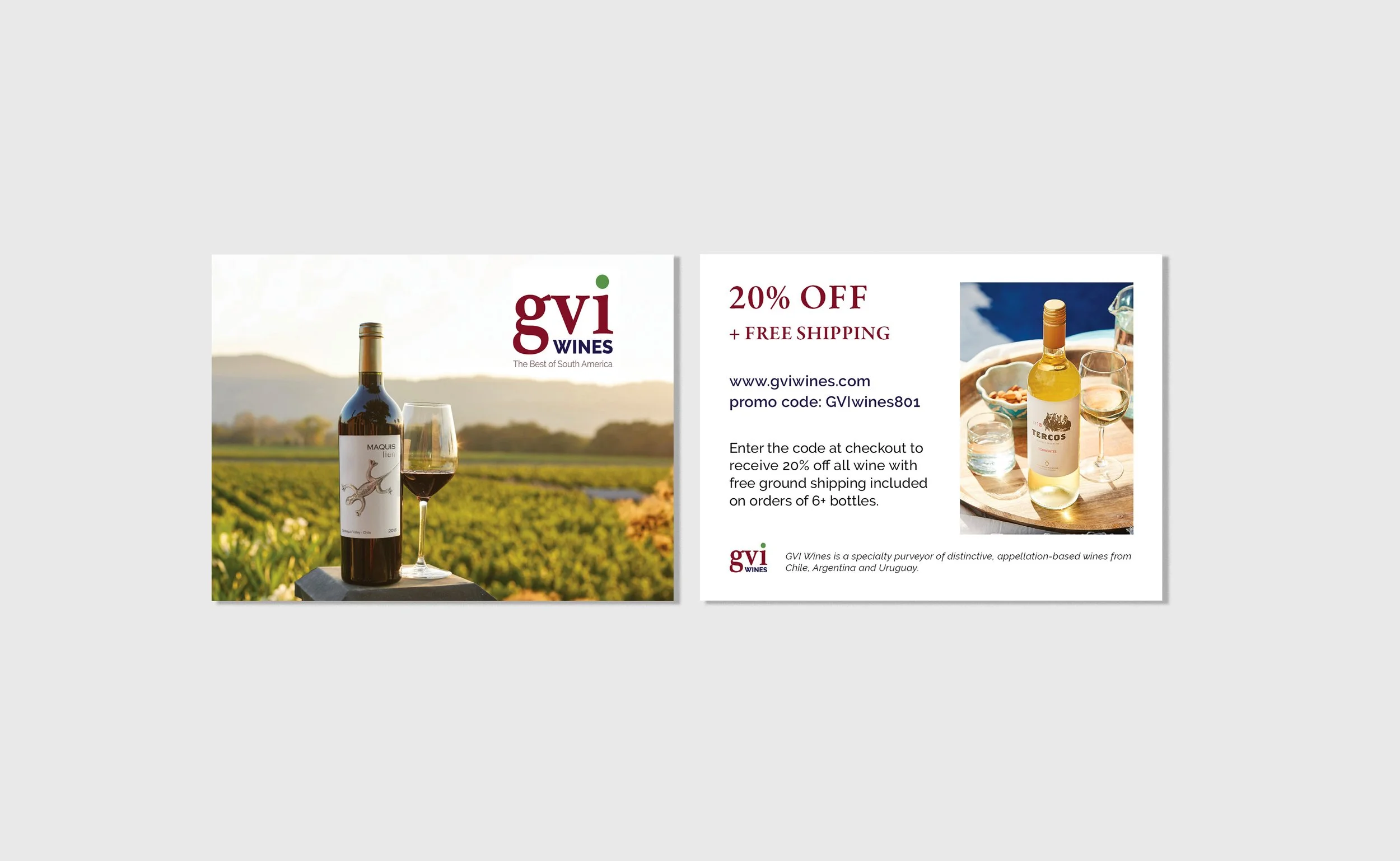 GVIpromocardmockup.jpg