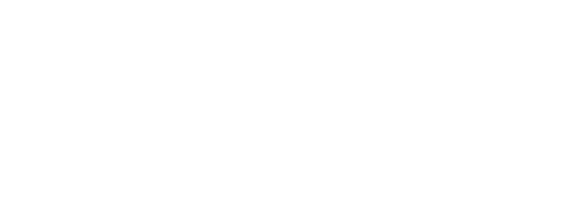 Webflow Certified Partners