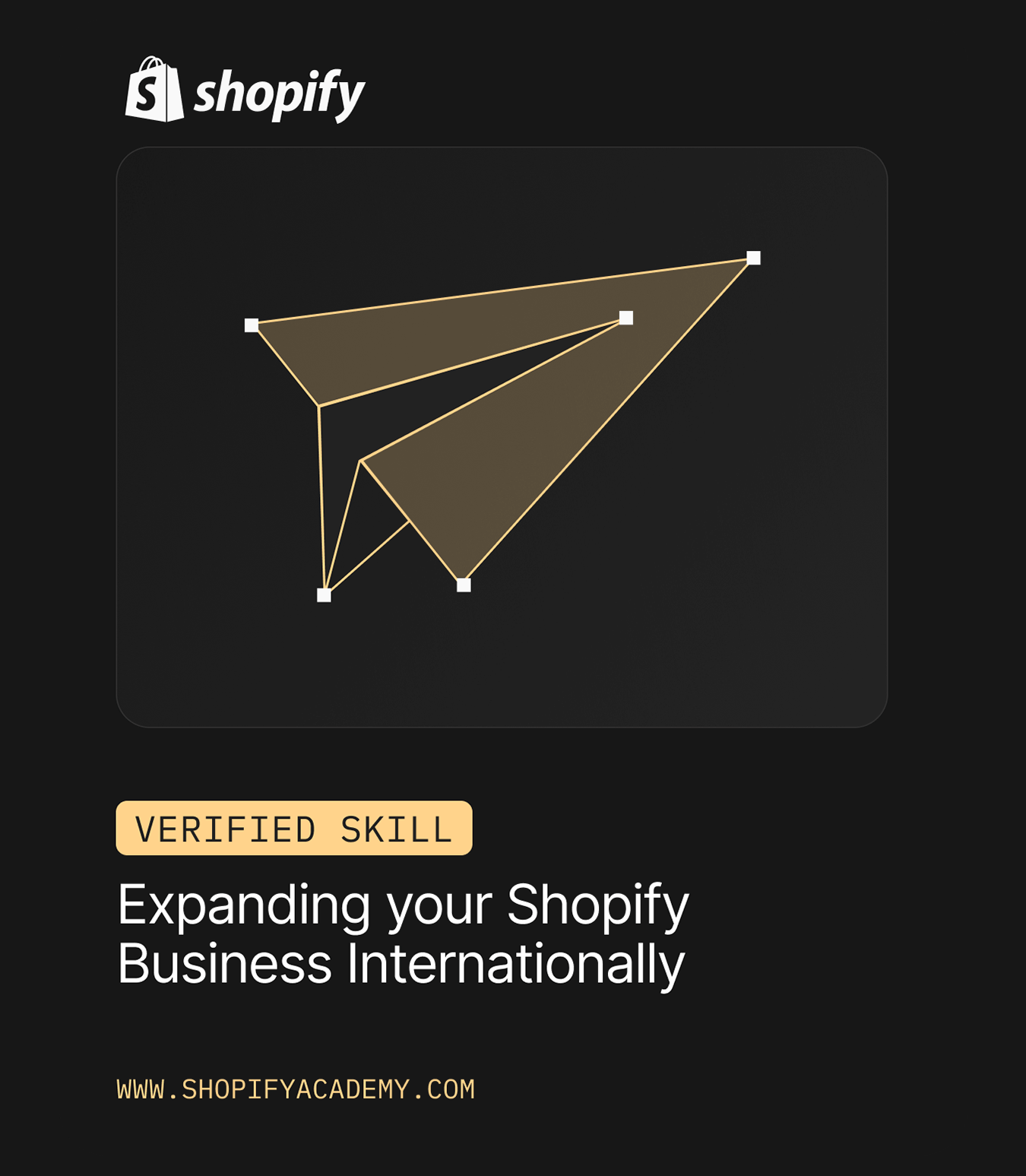 Shopify logo with a graphic of a paper airplane and the text "Expanding your Shopify Business Internationally" with a website address at the bottom.