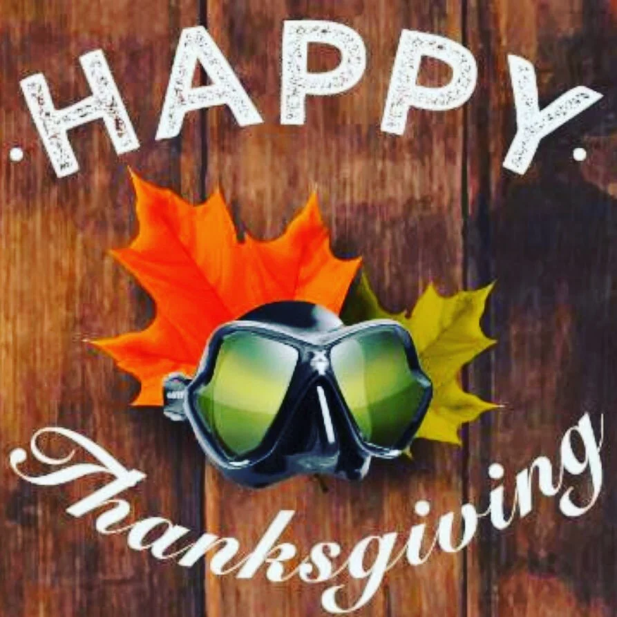 Charlotte’s Premier Dive Center Scuba Charlotte