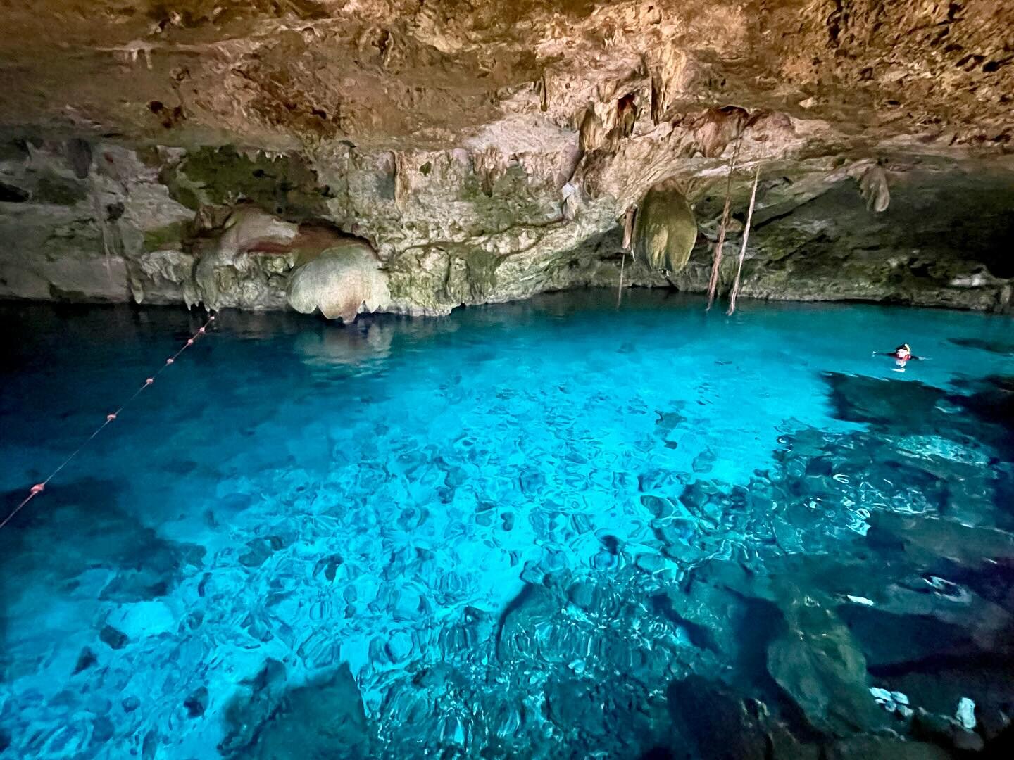 Quick trip over to the cenotes to dive Dos Ojos 😍🤿

#cenotes #dosojos #cenotediving #m&eacute;xico #cozumel #scuba #scubadiving #scubaclt #scubashacknashville #scubabozeman #scubashackusa #travel #adventure #charlottenc