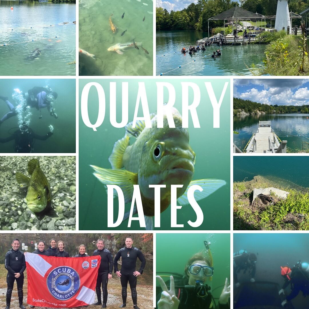 The Quarries are opening soon! For class dates and social dives see link in bio #quarrydiving #cltdiving #scubaclt #scubashack