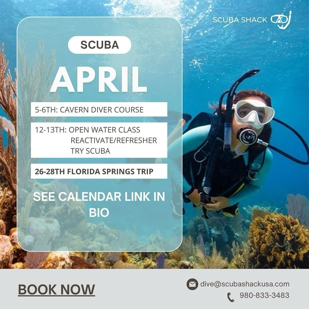 Dive in , don&rsquo;t drift, for a spot in our upcoming classes and trips! See link in bio for registration and calendar details 🫧🐠🫧 #scubaclt #scubashackusa #april #may