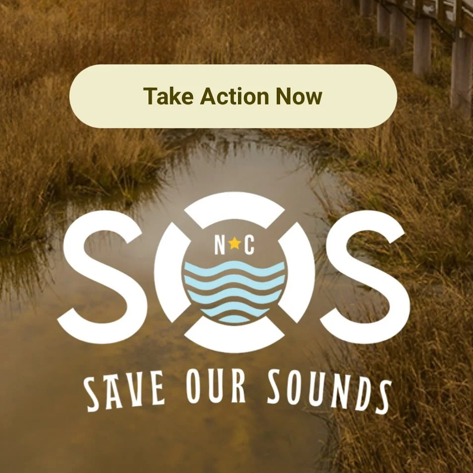 Be a part of &ldquo;Saving Our Sounds&rdquo;! See link in bio.

#ncwildlifefederation #conservation #scubaclt