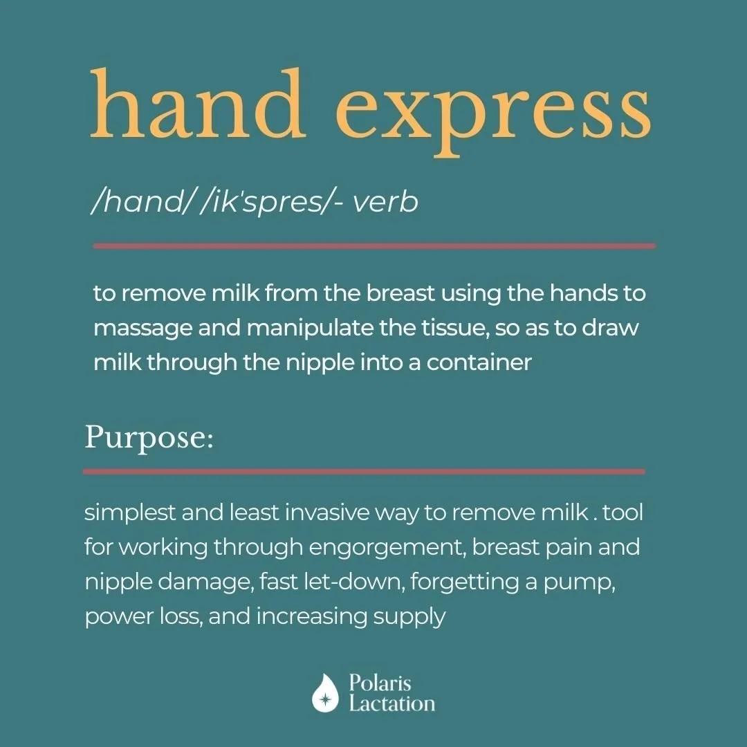 HAND EXPRESSION

There are a lot of different things to learn and buy when it comes to a lactation journey, but I think Hand Expression tops my list as &ldquo;most important.&rdquo; It&rsquo;s such an invaluable skill to learn. 

Hand expression is a