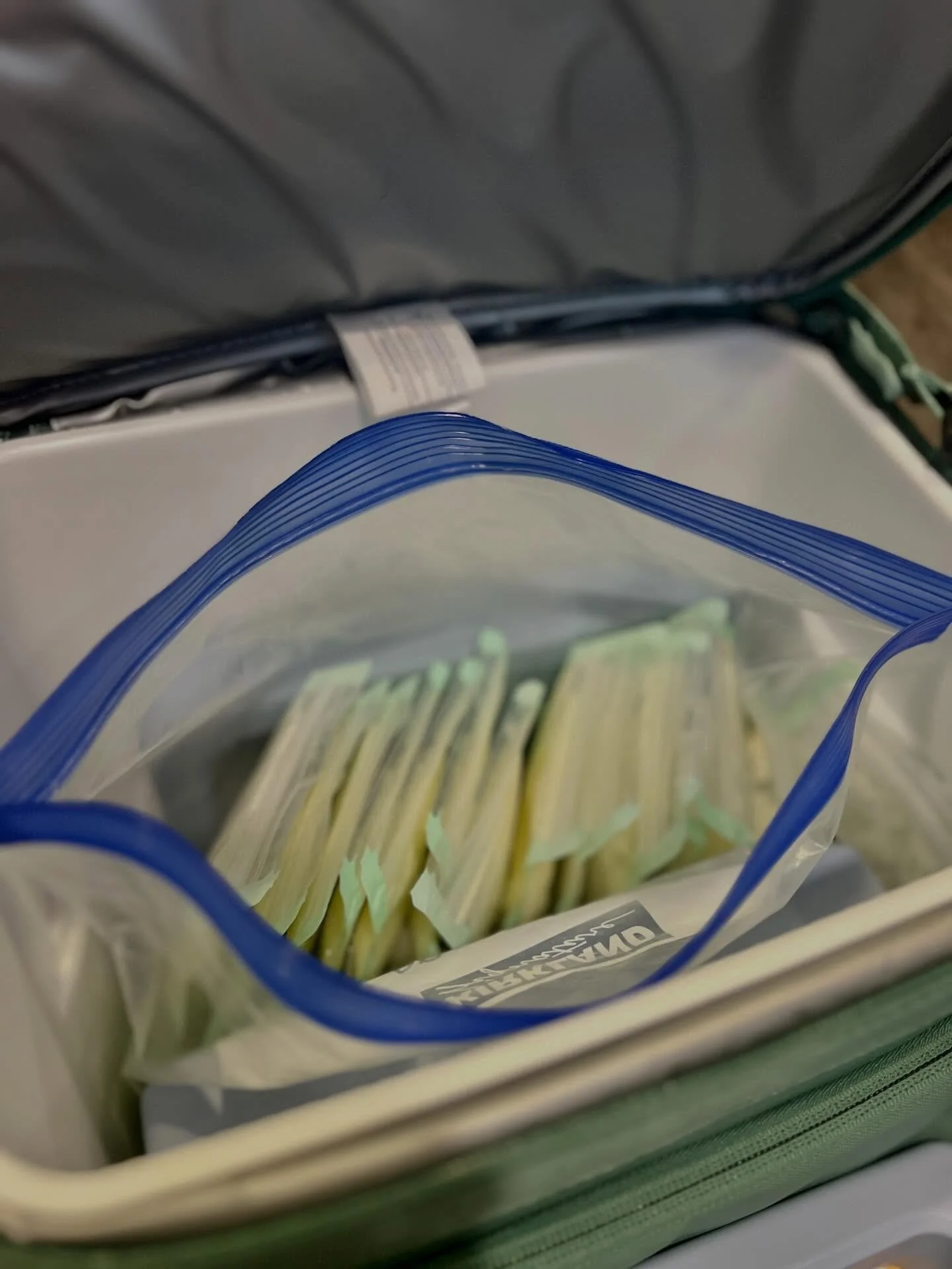 Traveling with breast milk? 

It&rsquo;s easier than you think! Trip coming up and feeling overwhelmed? Let me help ✈️

#BreastfeedingSupport #PumpingOnTheGo #BreastMilkTravel #LactationSupport #PolarisLactation