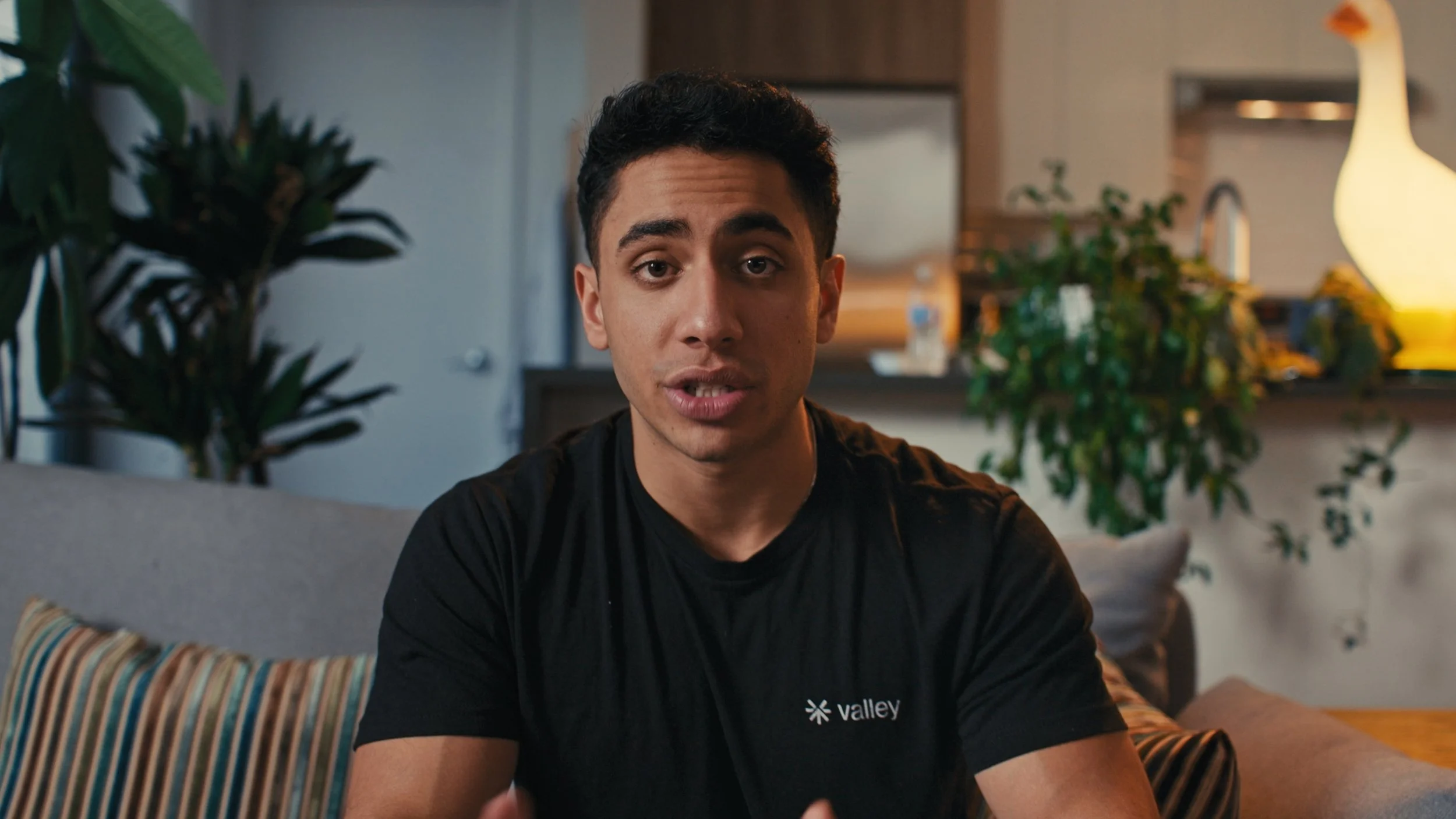 Valley Stills_1.26.1.jpg