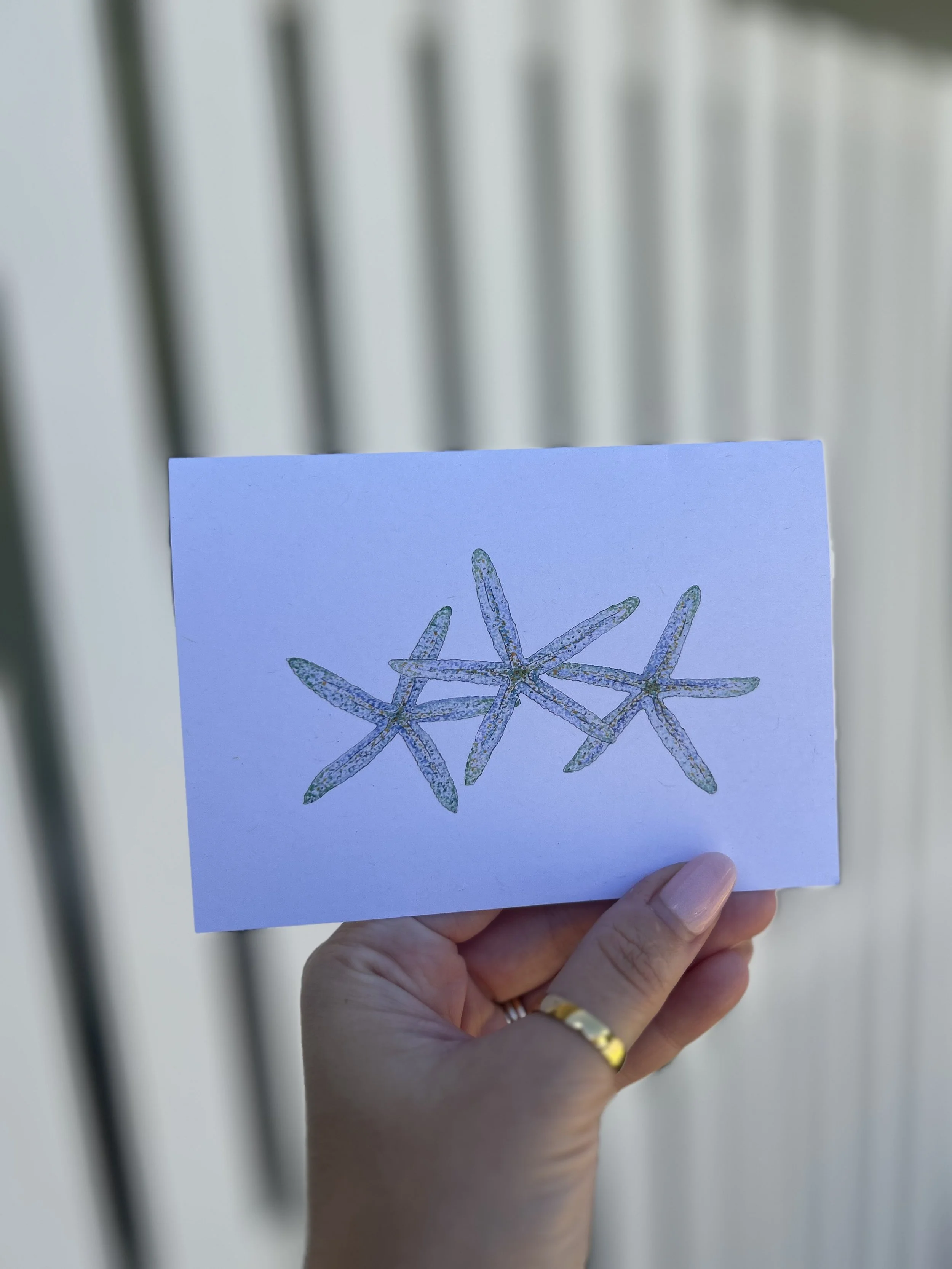Cards - water and ocean series