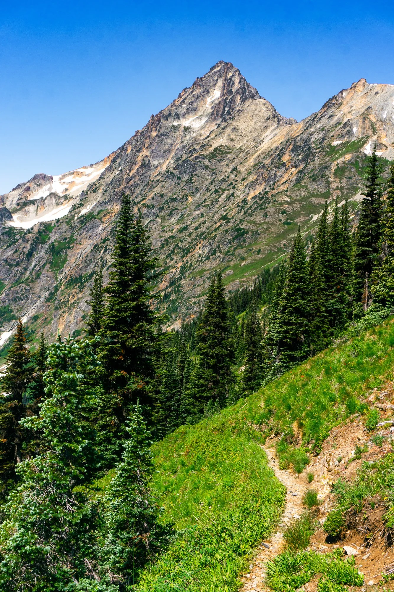 Easy Pass Website Edit-00864.jpg