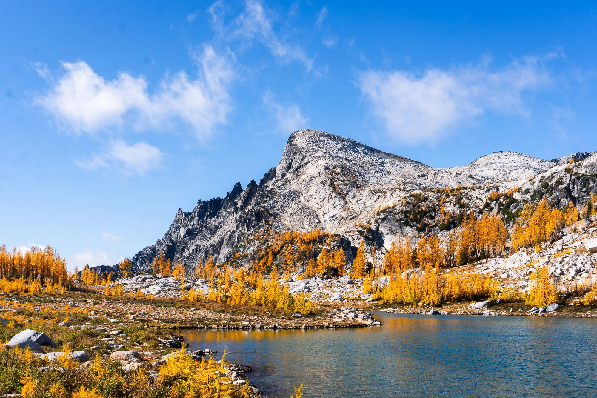 Enchantments Website Edit-03966.jpg