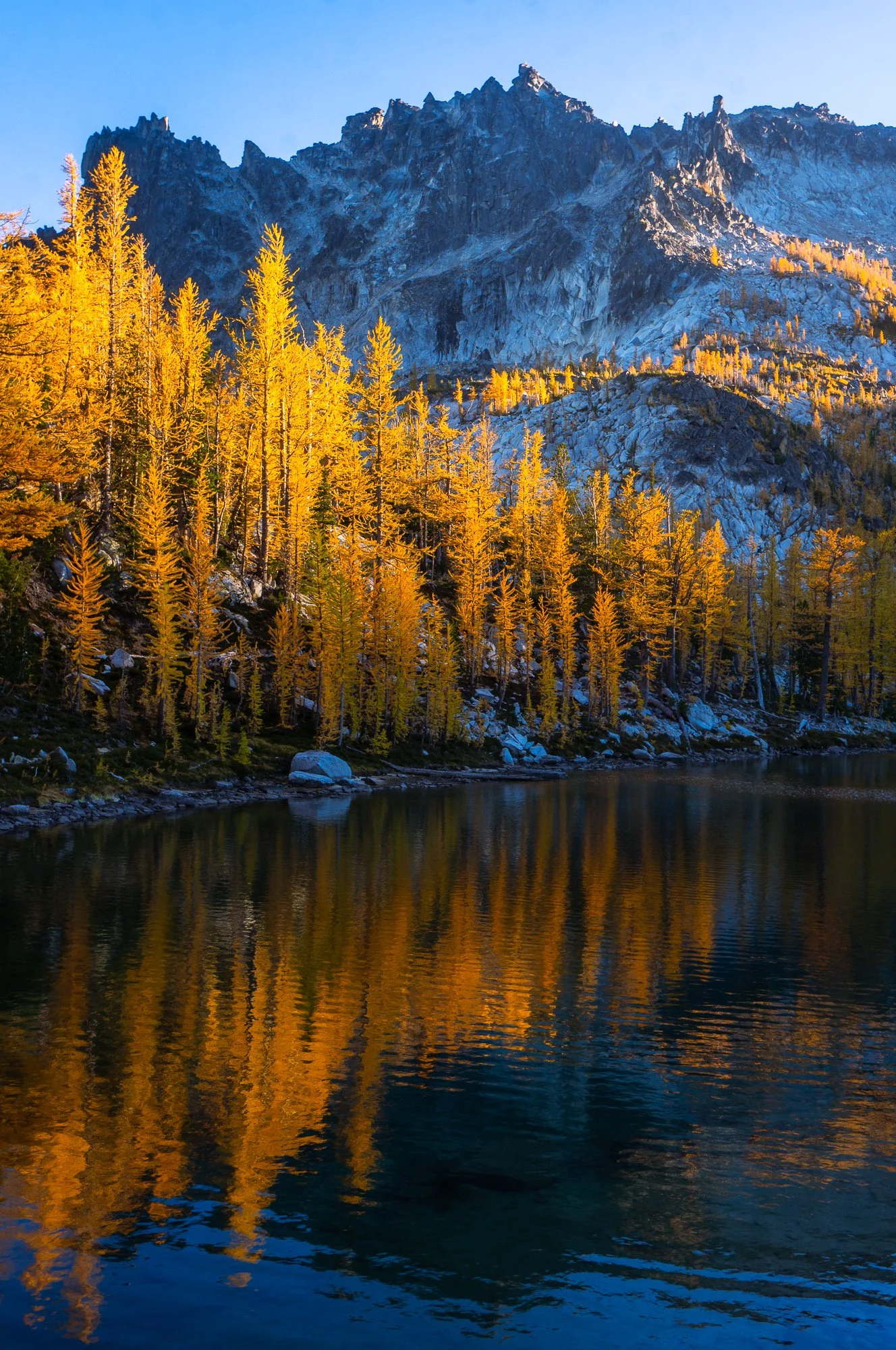 Enchantments Website Edit-03862.jpg