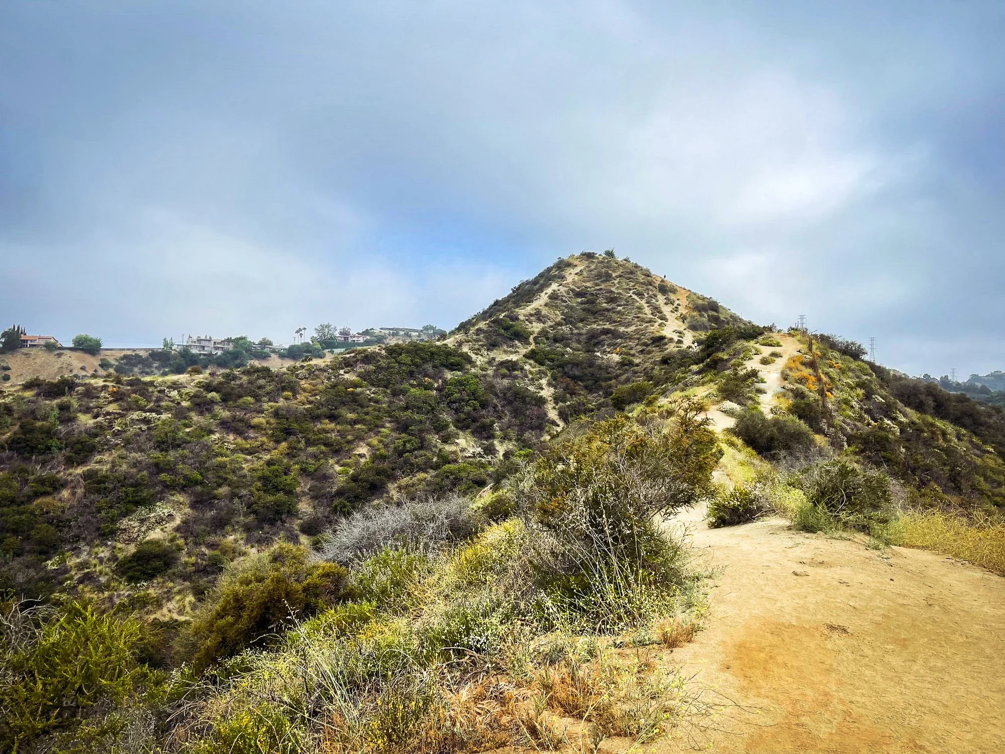 Runyon Website Edit--3.jpg