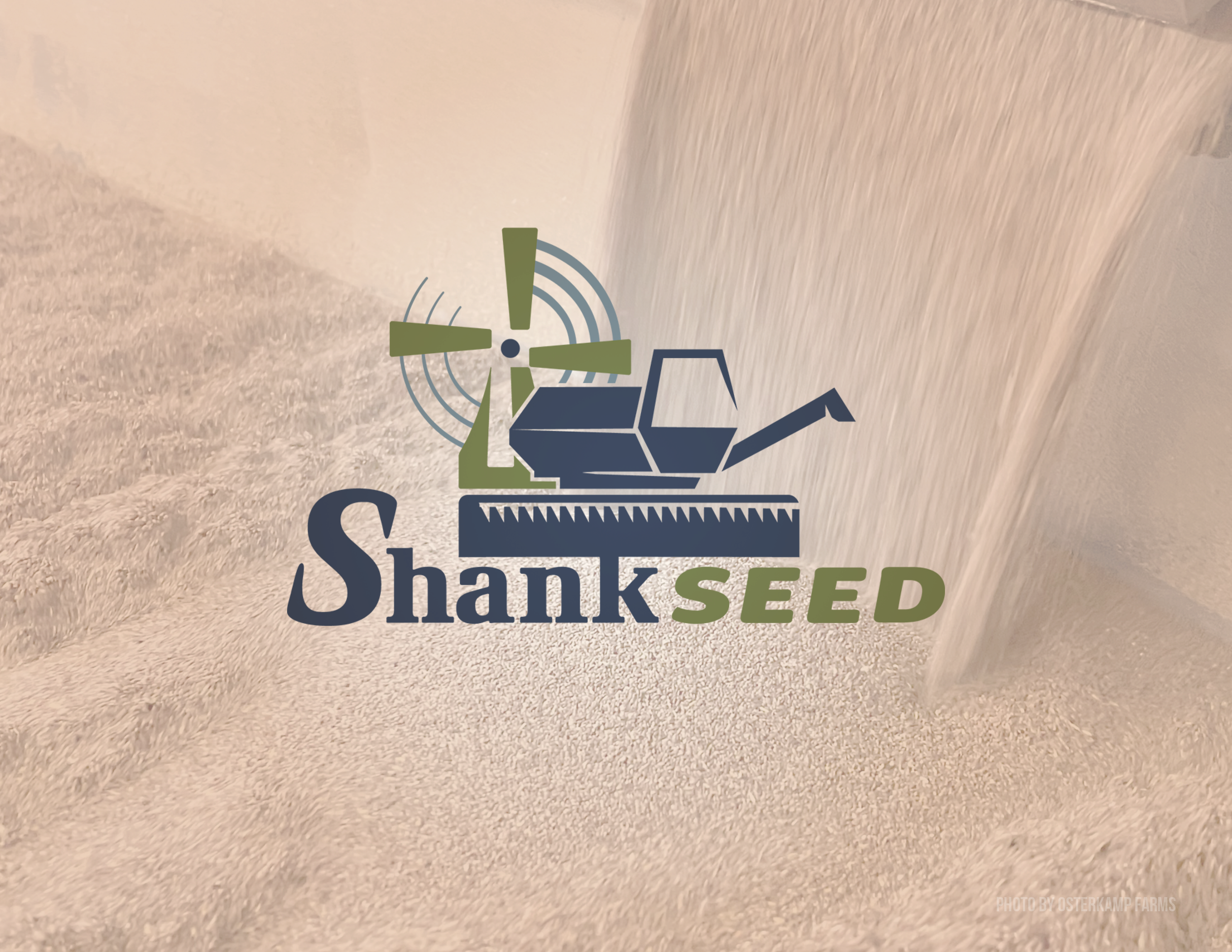 Shank Seed Logo