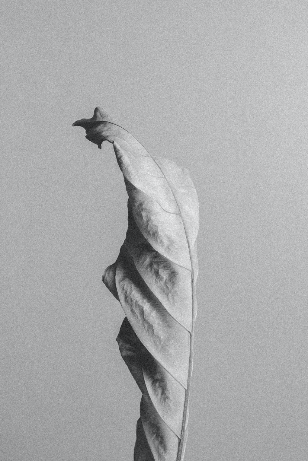 Screen Shot 2021-05-06 at 1.53.14 pm.png