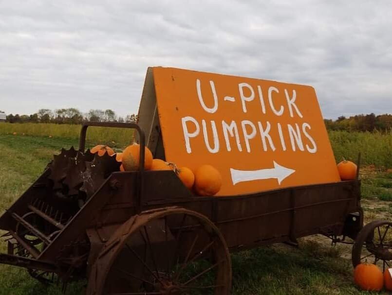 As the patch dwindles down, we have reduced the price to match! U-Pick is now $1.50 ea any quantity/any size until October 31, 2020!🎃

#senecawinetrail #senecalake #cayugalake #cayugawinetrail #upickpumpkins