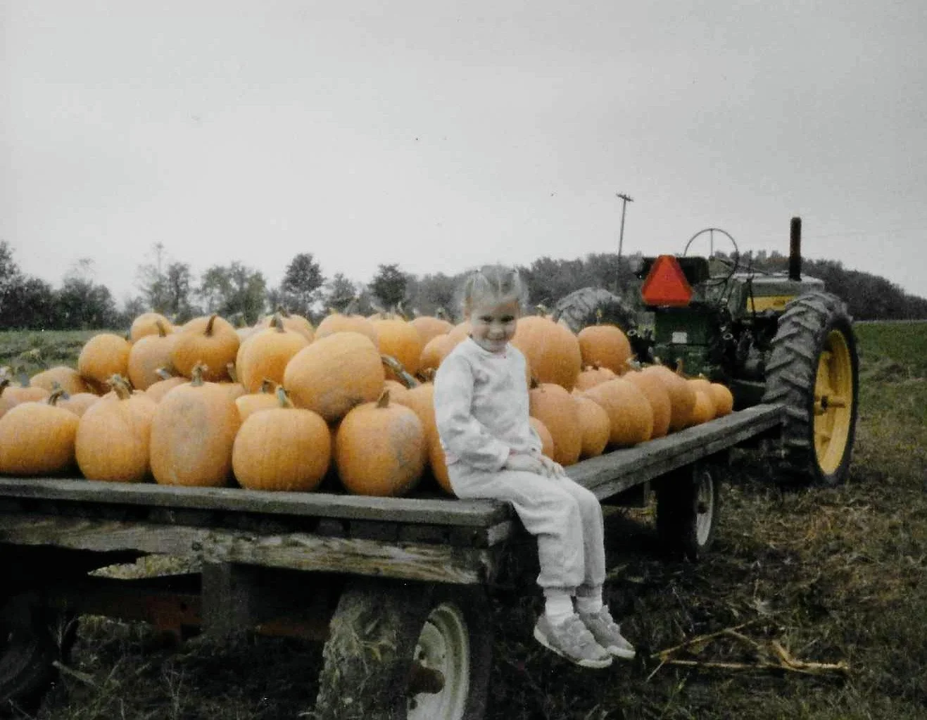1986 - Ellen Eastman, Pumpkin Wagon.jpg