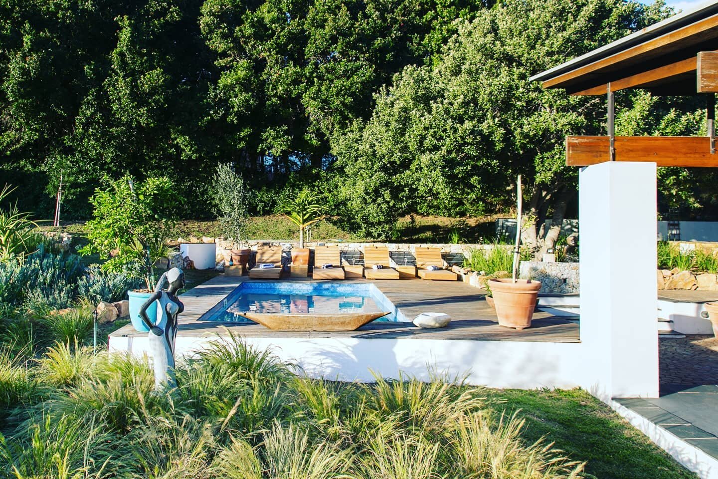 There is nothing wrong with dreaming about summer pool days at this dream pool even in the middle of the deepest winter. @kinghornsgardens #thisissouthafrica #capetownsouthafrica #kinghornsgardens #pool #swimming #summer #accommodation #luxuryselfcat