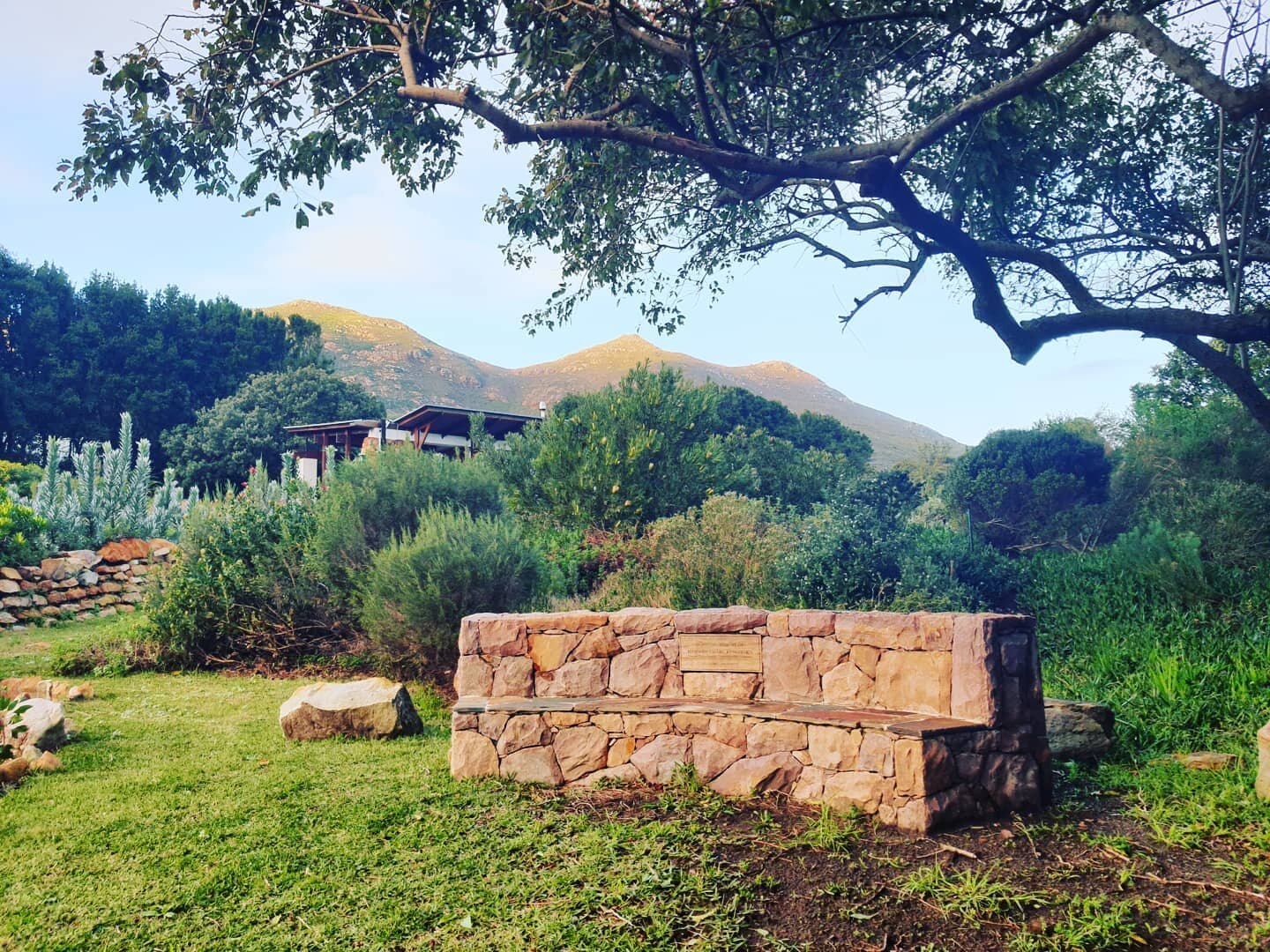 The perfect sunset bench overlooking our dam and with direct views of Chapmans Peak and the surrounding mountains
 @kinghornsgardens #thisissouthafrica #capetownsouthafrica #kinghornsgardens #nature #noordhoek #capetown #luxuryselfcatering #accommoda