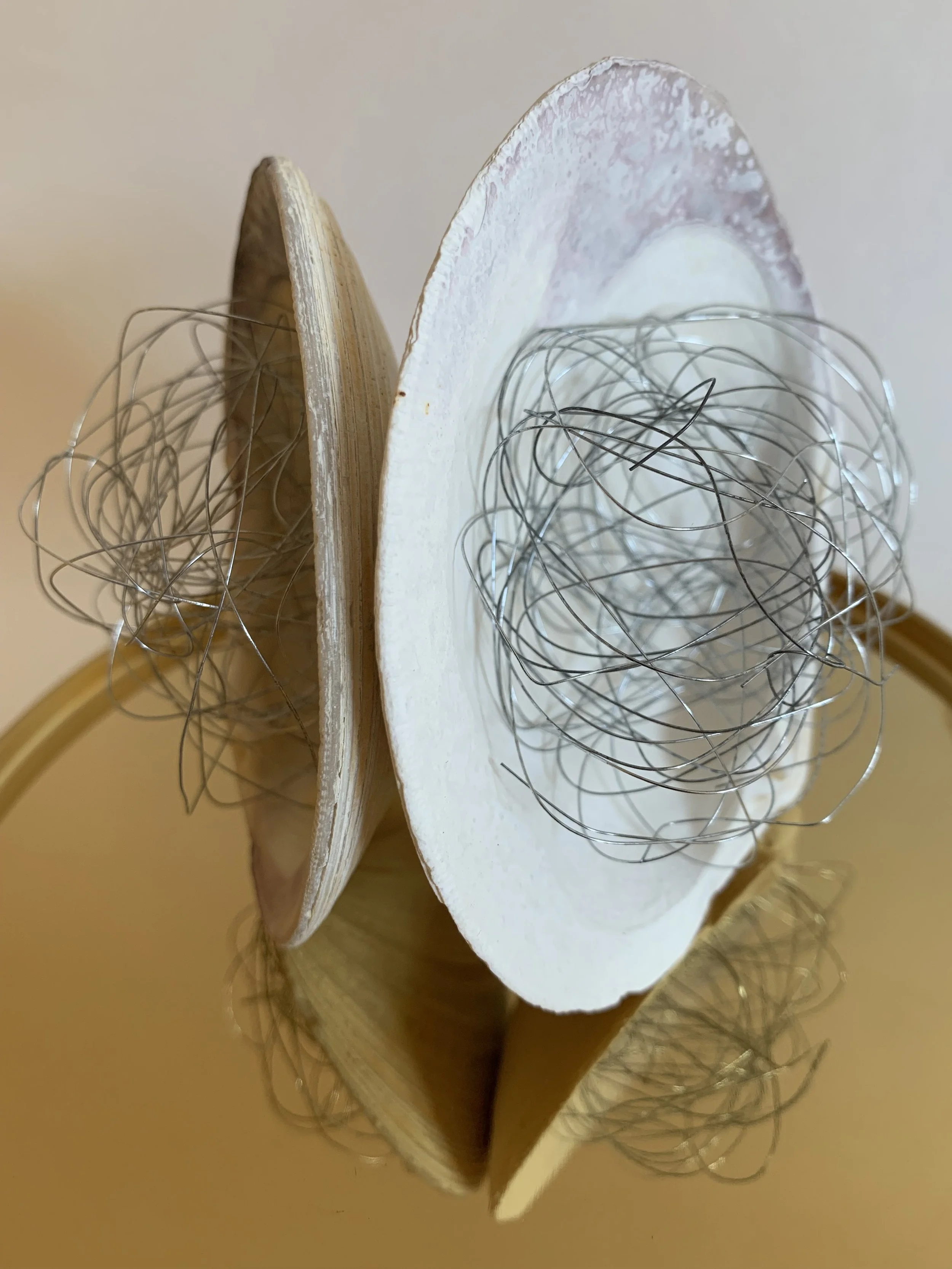 Coalesce - Found shells and wire