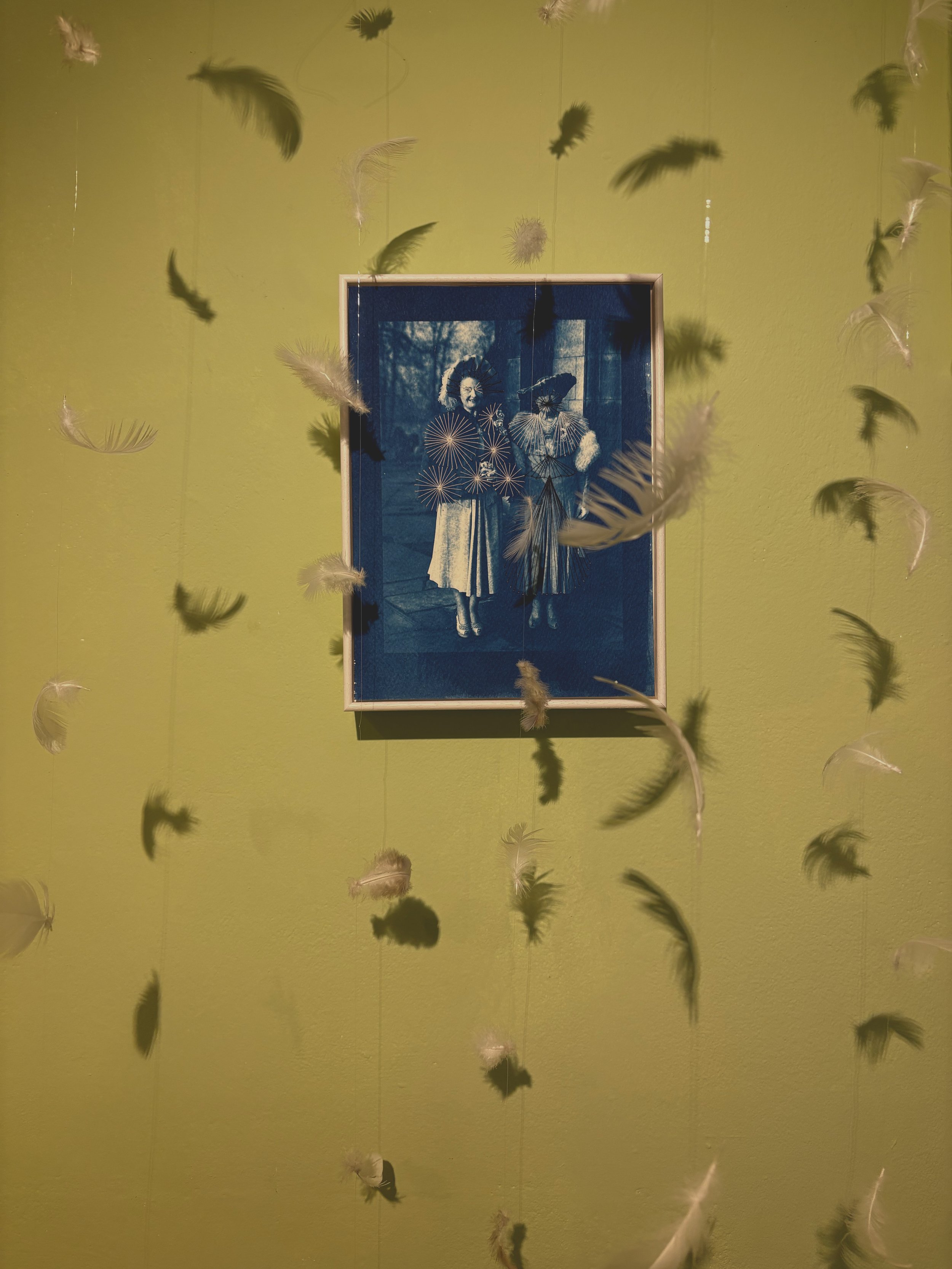 Hope is the things with feathers - installation