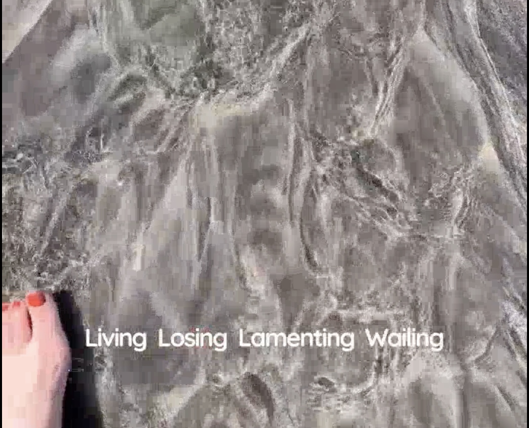 The Pilgrimage - still from film with poem