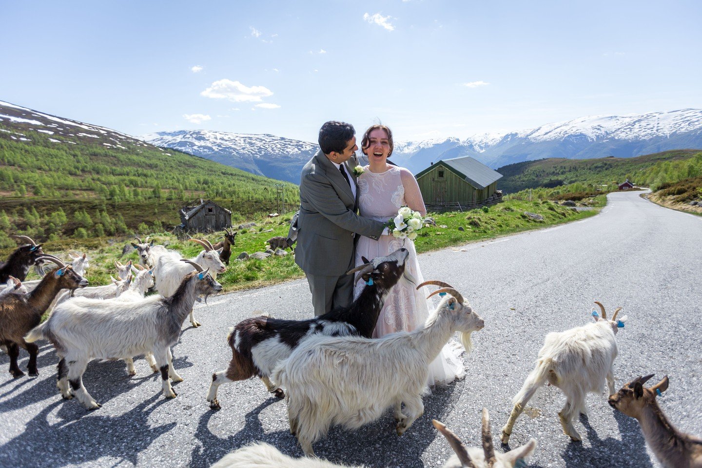 Your wedding guests. 🐐

Okay, not all of them. But when you choose to get married in the Norwegian mountains, you never quite know who is going to show up.

This is one of the things we love most about what we do. The unexpected, unscripted, complet