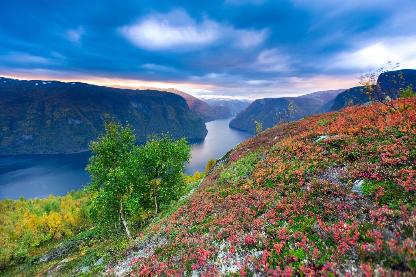 Autumn in Norway. When the hillsides turn copper and gold, the fjords grow still, and the sky goes dramatic in a way that takes your breath away.

There is no bad season to marry in Norway. But there is something about autumn that feels almost otherw
