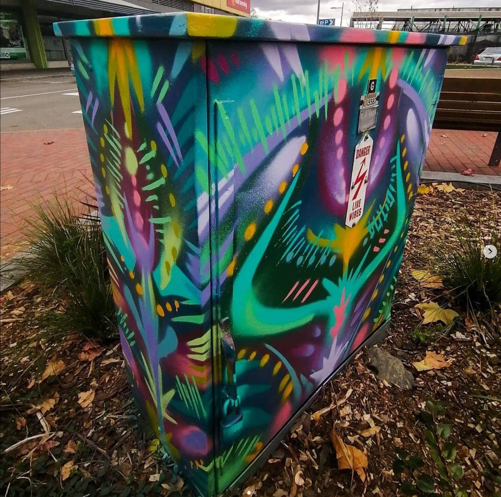 Colorful graffiti art painted on an electrical utility box outdoors, featuring vibrant abstract patterns with bright colors like blue, purple, yellow, and pink, and surrounded by fallen autumn leaves.