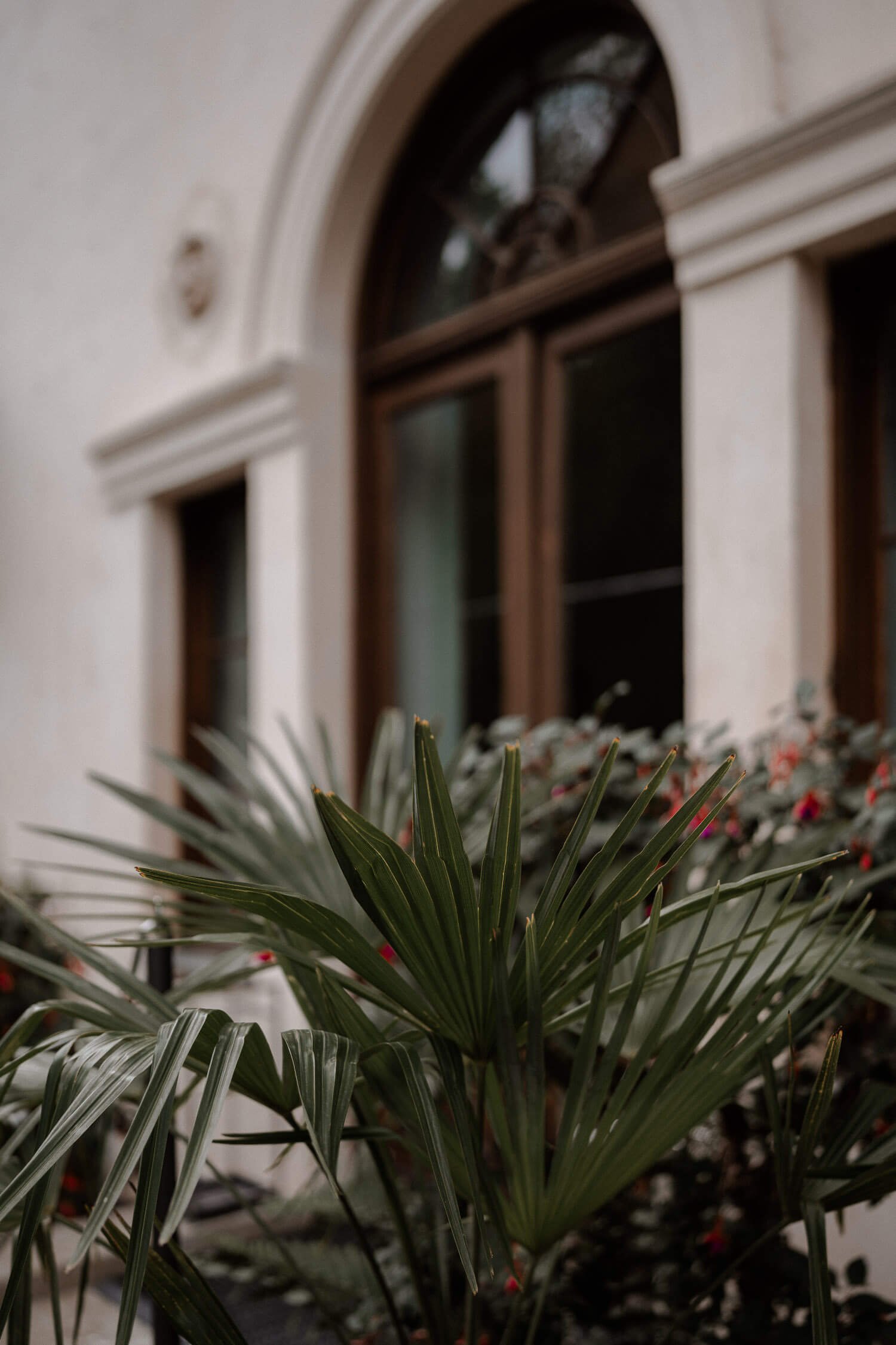 Außenmotiv: Villa/Standesamt mit Pflanzen im Vordergrund (Detail) – roseninsel starnberger see standesamt villa