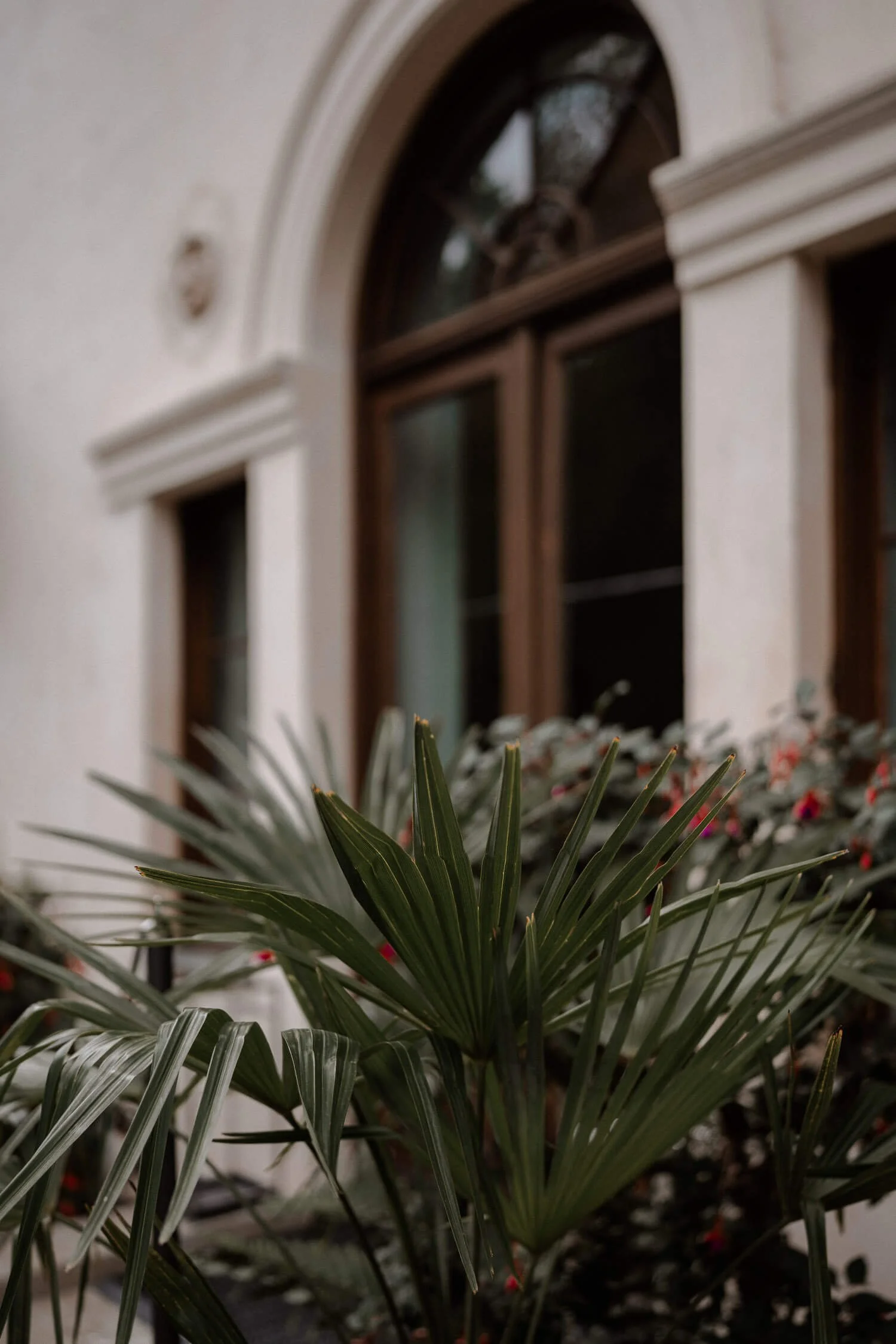 Außenmotiv: Villa/Standesamt mit Pflanzen im Vordergrund (Detail) – roseninsel starnberger see standesamt villa