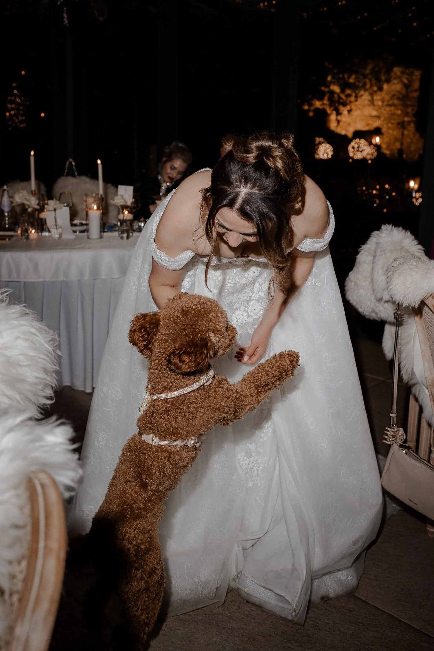 Bride-Dog-Wedding-Morrhof.jpg