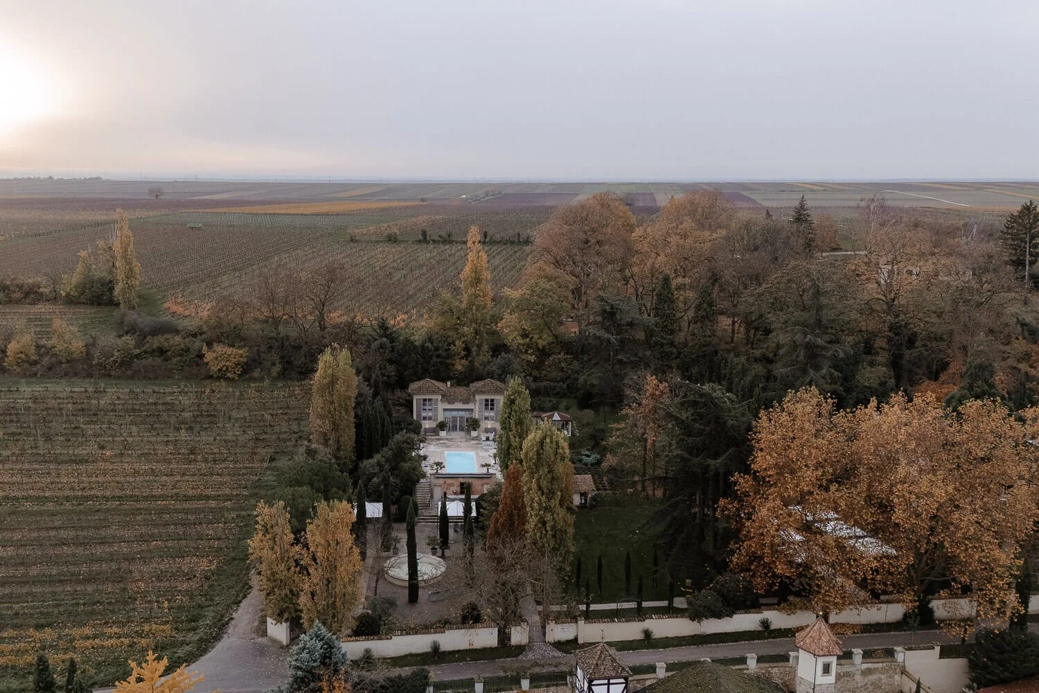 Drohnenblick über den Morrhof in der Pfalz mit Weinbergen bei Sonnenaufgang