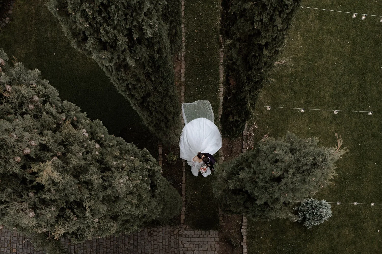 Drohnenfoto: Kuss im Garten – Morrhof Hochzeit in der Pfalz