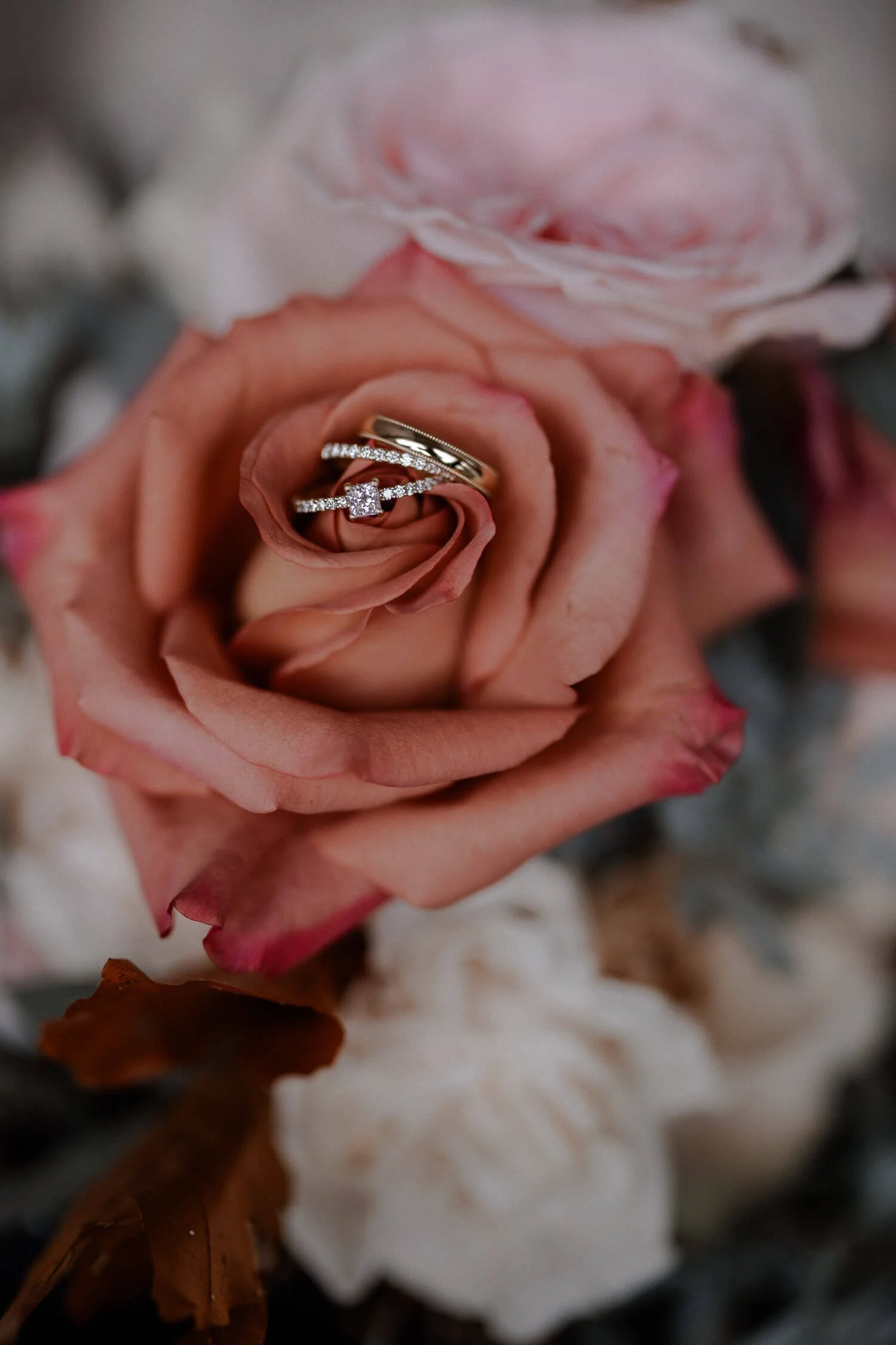 Eheringe auf Rose – romantisches Detailfoto