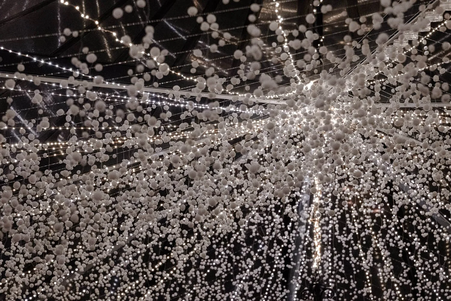 Lichterhimmel – funkelnde Installation über der Feier im Morrhof