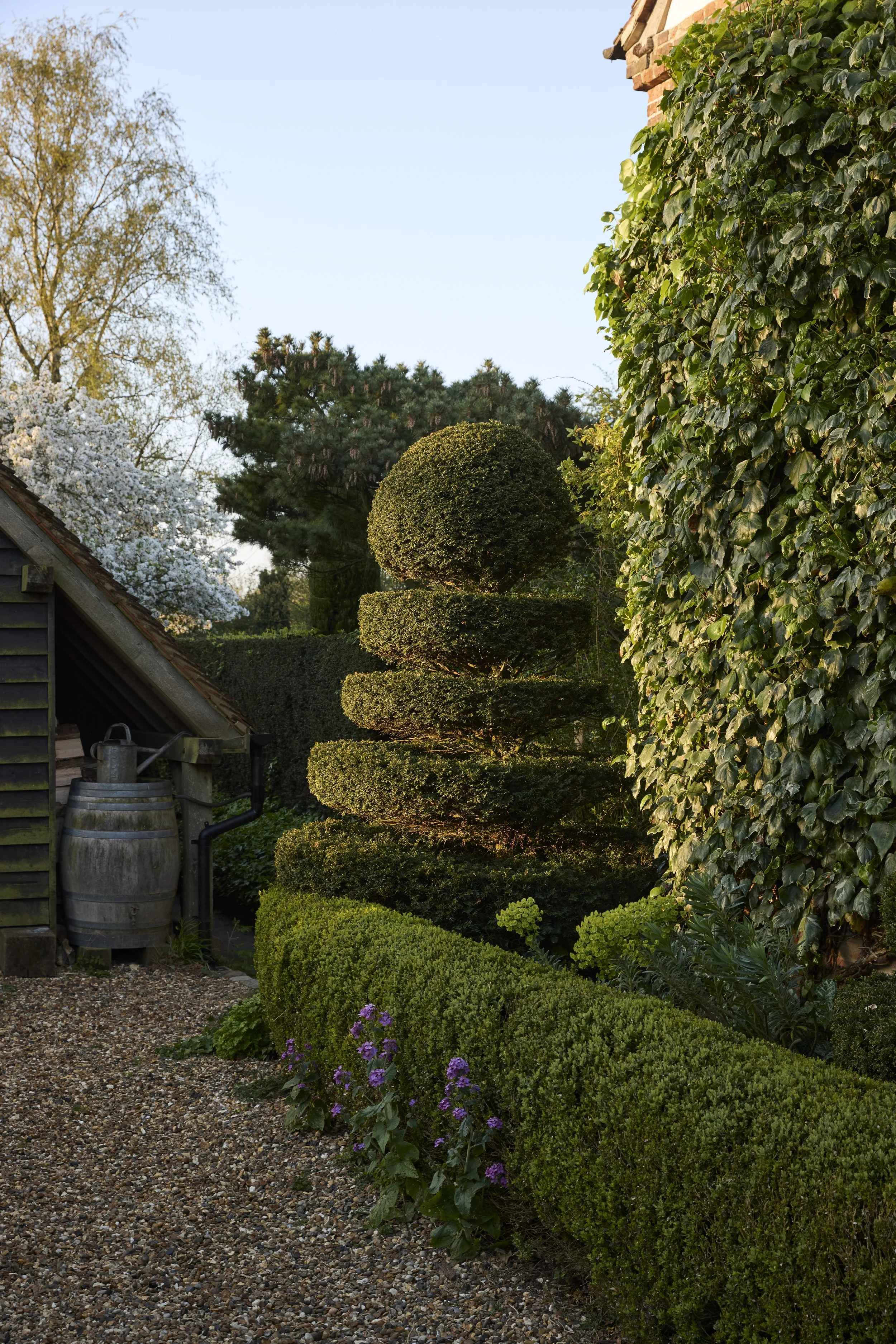 260422_Rustling_End_Herts_Spring_00205.jpg