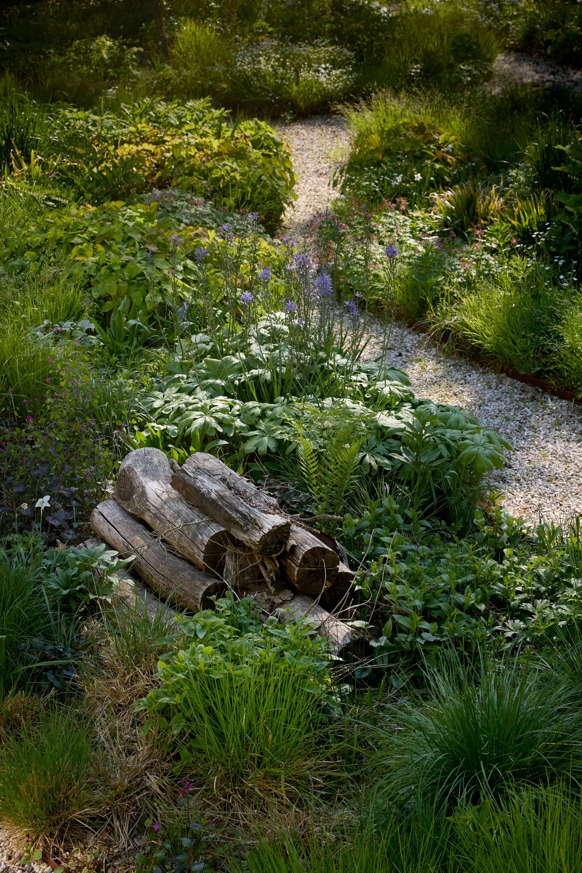 260507_SMLA_Hilversum_B_003326.jpg