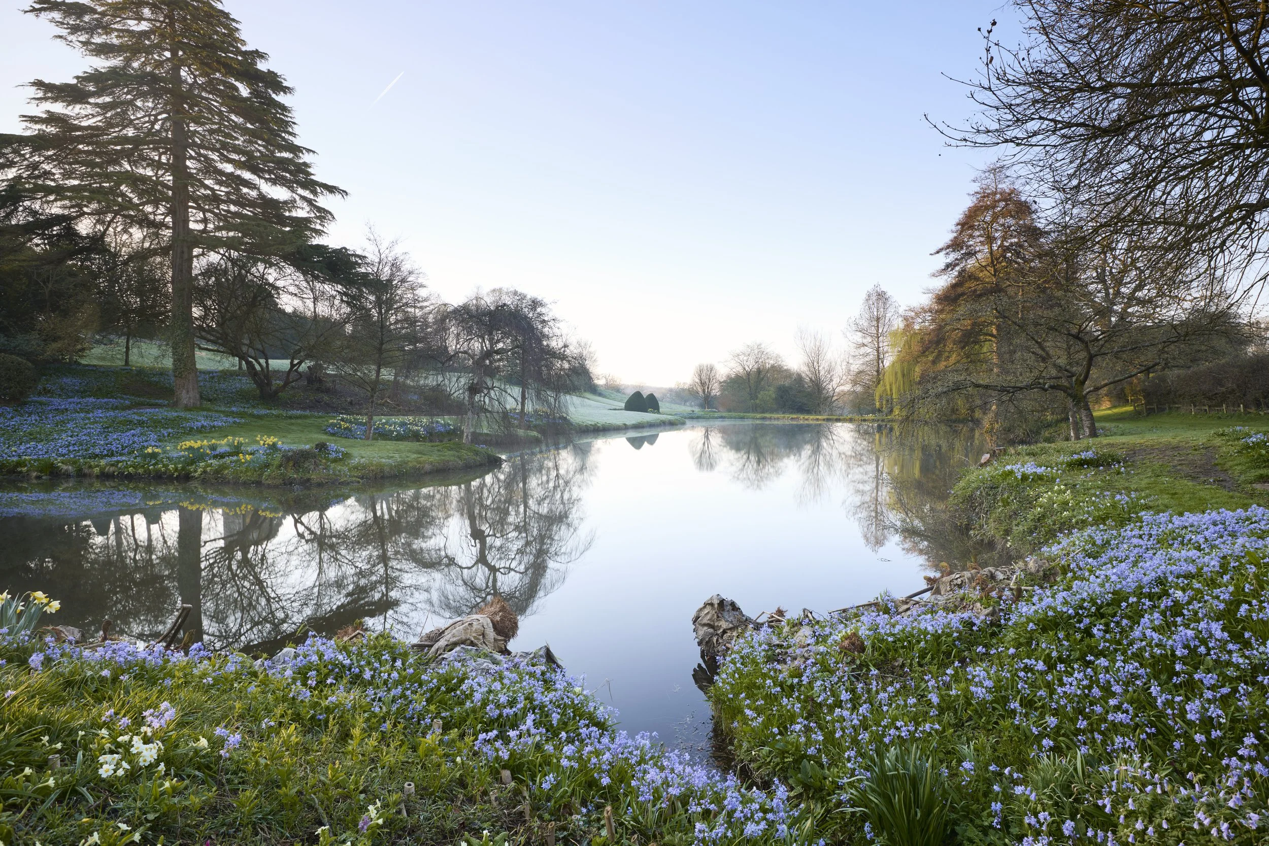 260311_Benington_Lordship_Gardens_A_01201.jpg