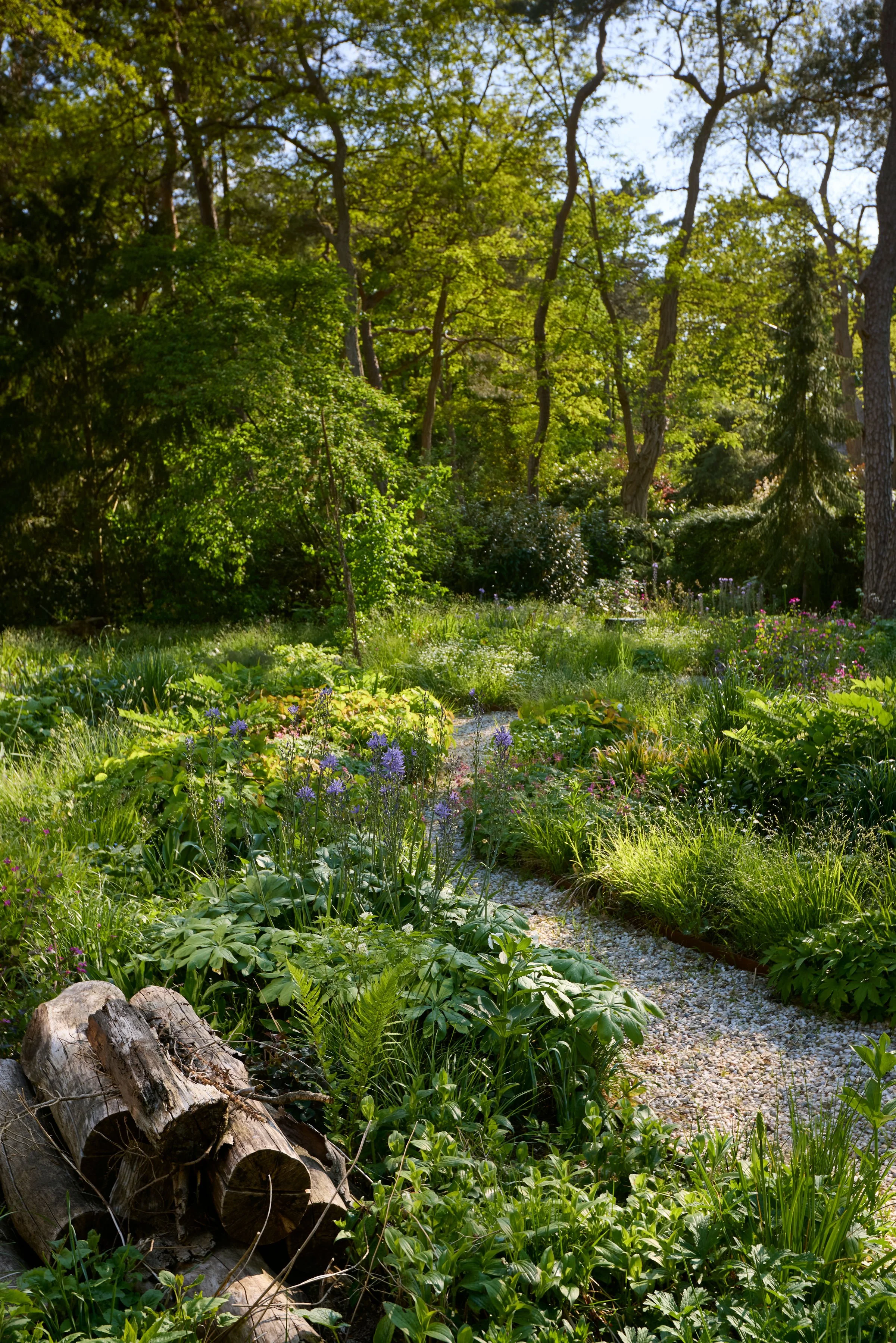 260507_SMLA_Hilversum_B_003685.jpg