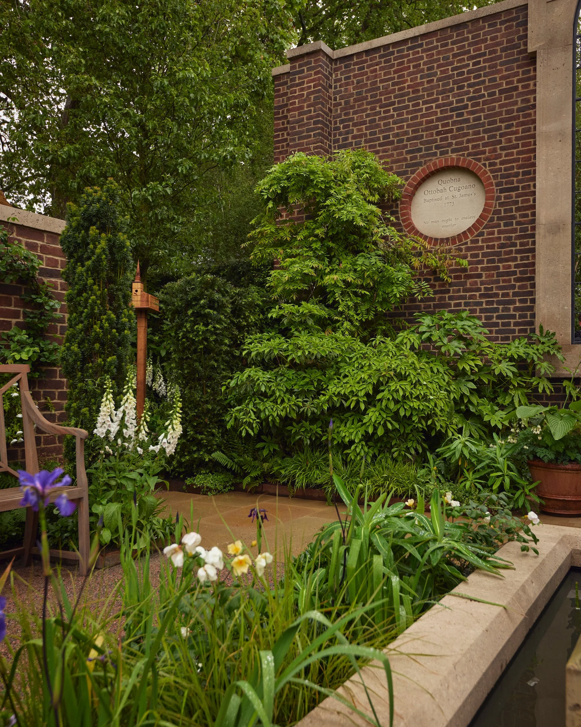 240522_RHS_Chelsea_Wednesday_00356 1.jpg