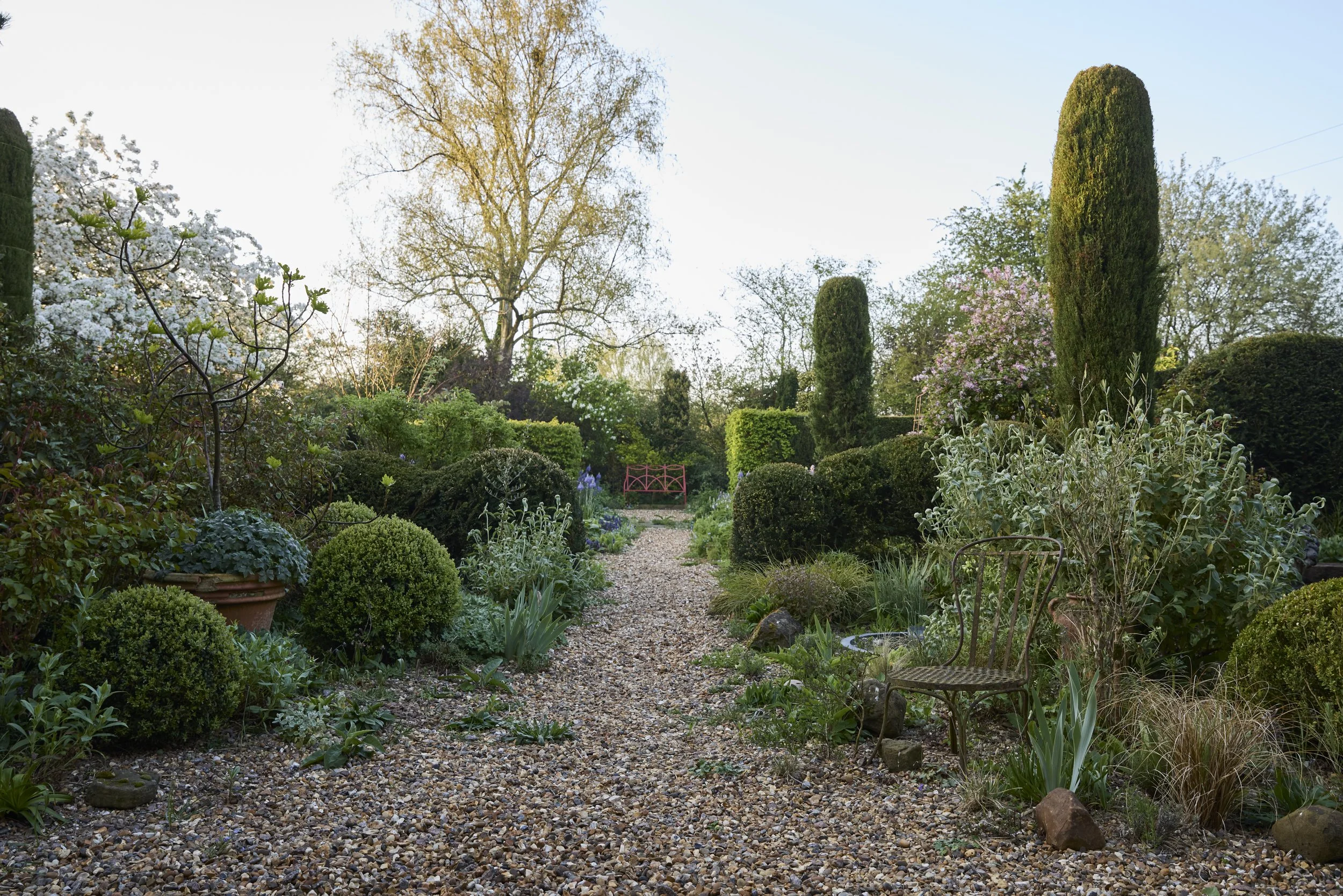 260422_Rustling_End_Herts_Spring_00191.jpg