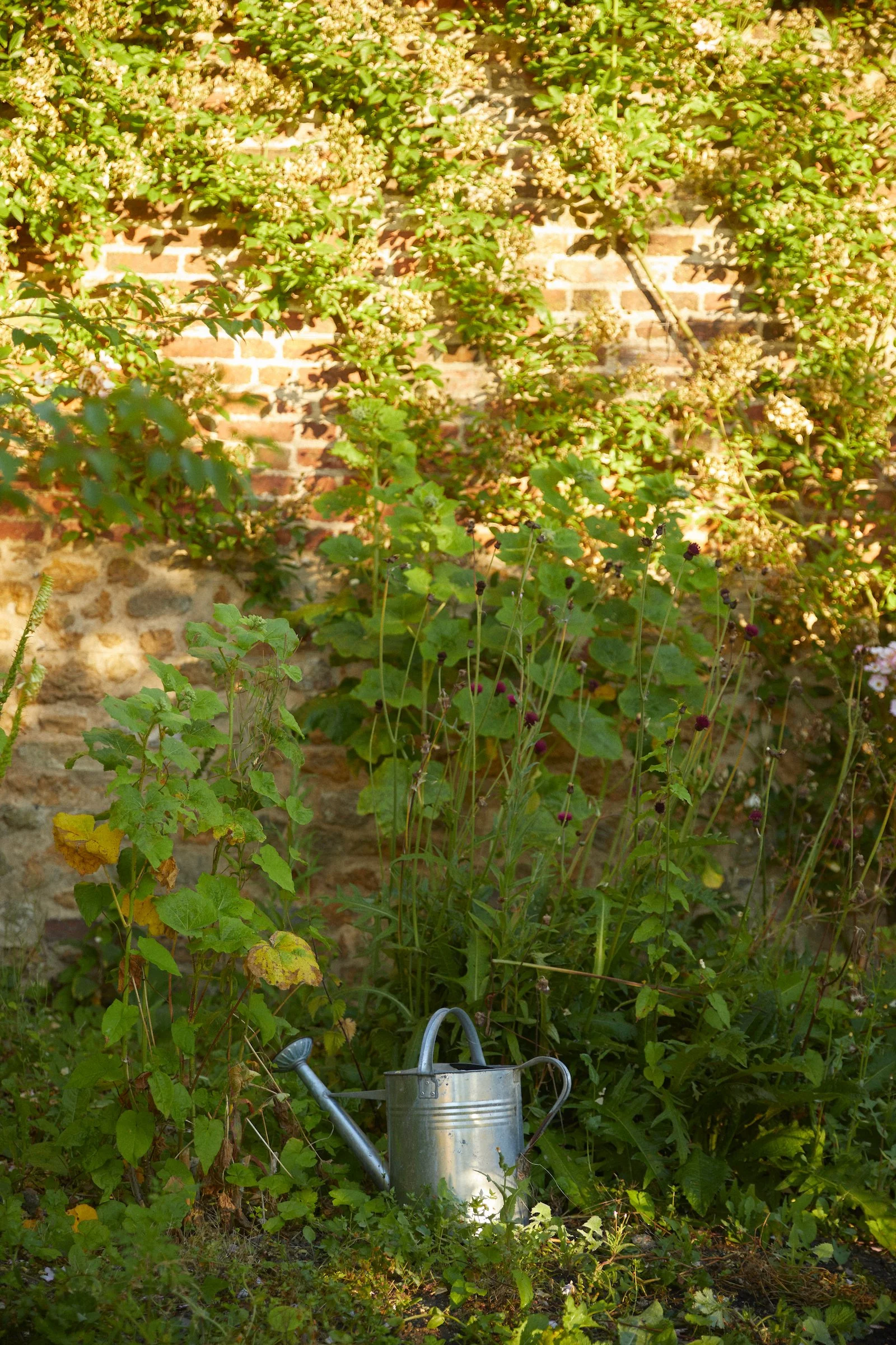 220708_Long_Bredy_House_ 6 1.jpg