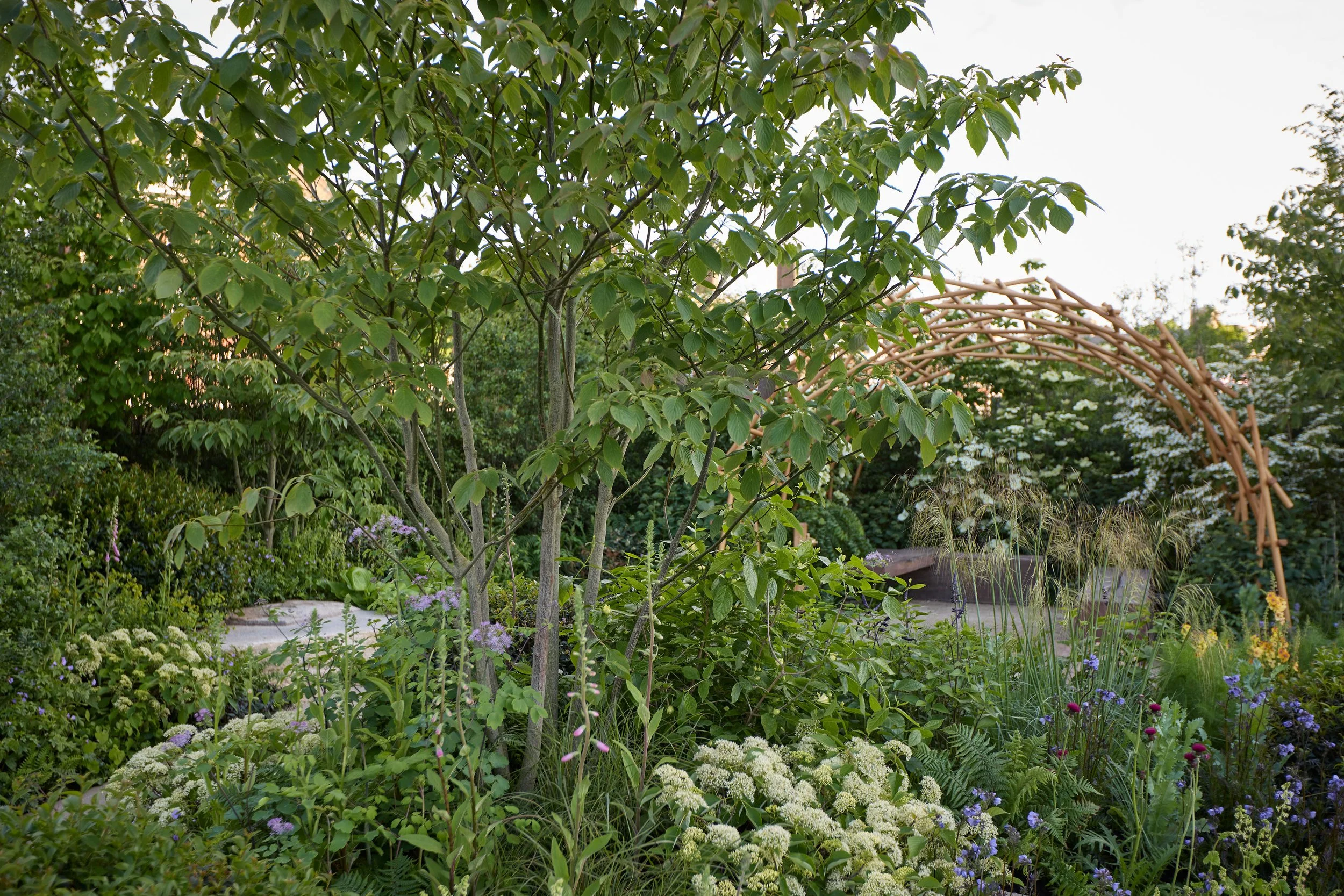 260515_RHS_Rob_Hardy_Trussell_000549.jpg