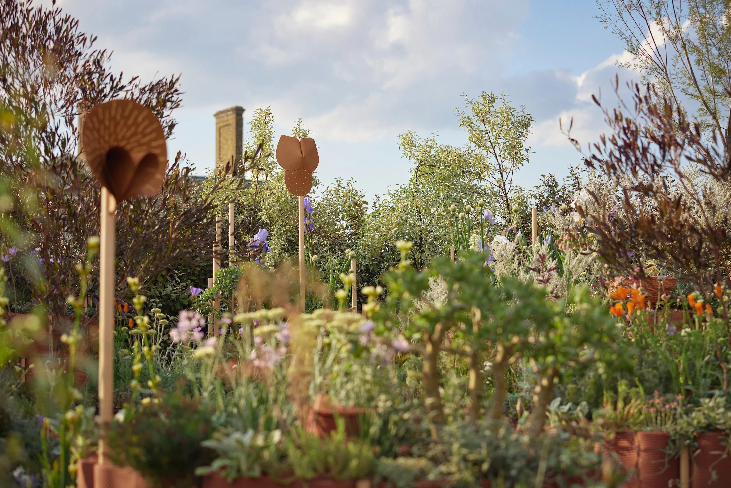 240519_RHS_Chelsea_Others_01107.jpg