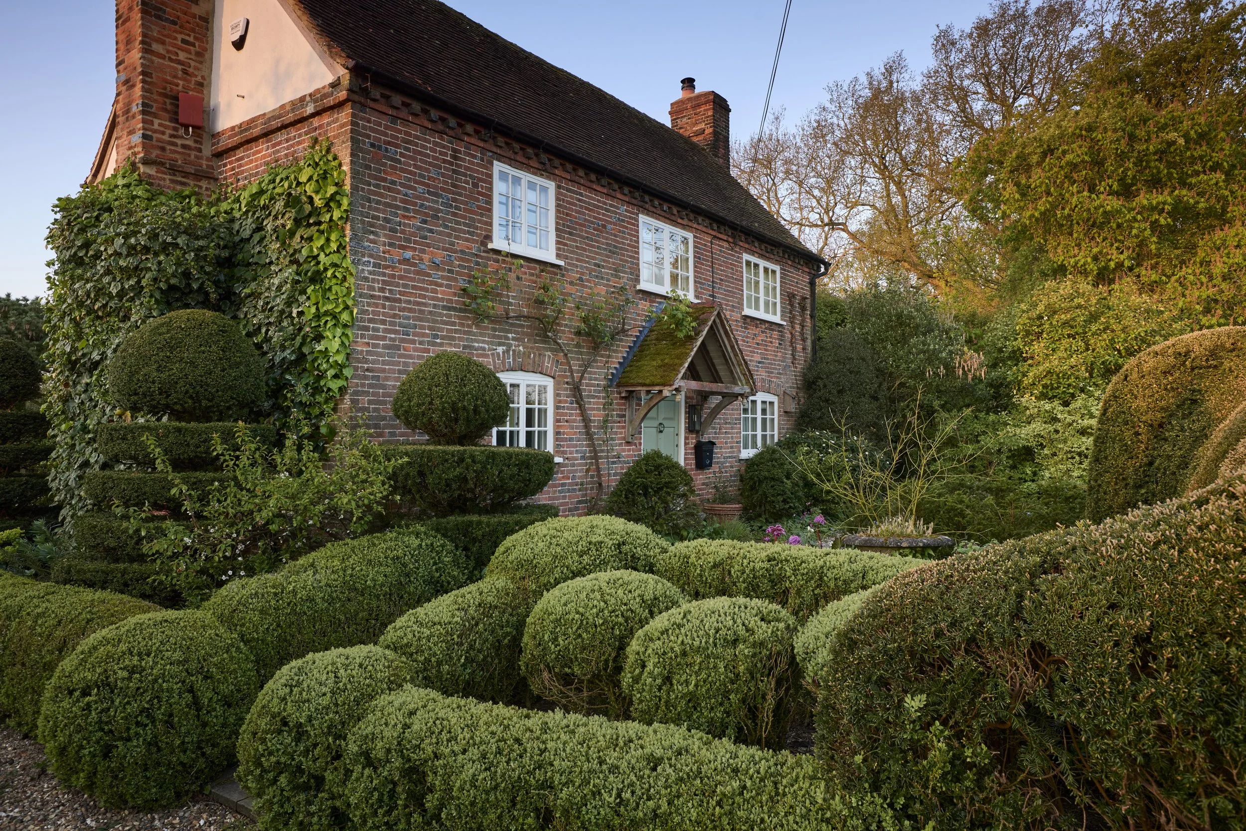 260422_Rustling_End_Herts_Spring_00037.jpg