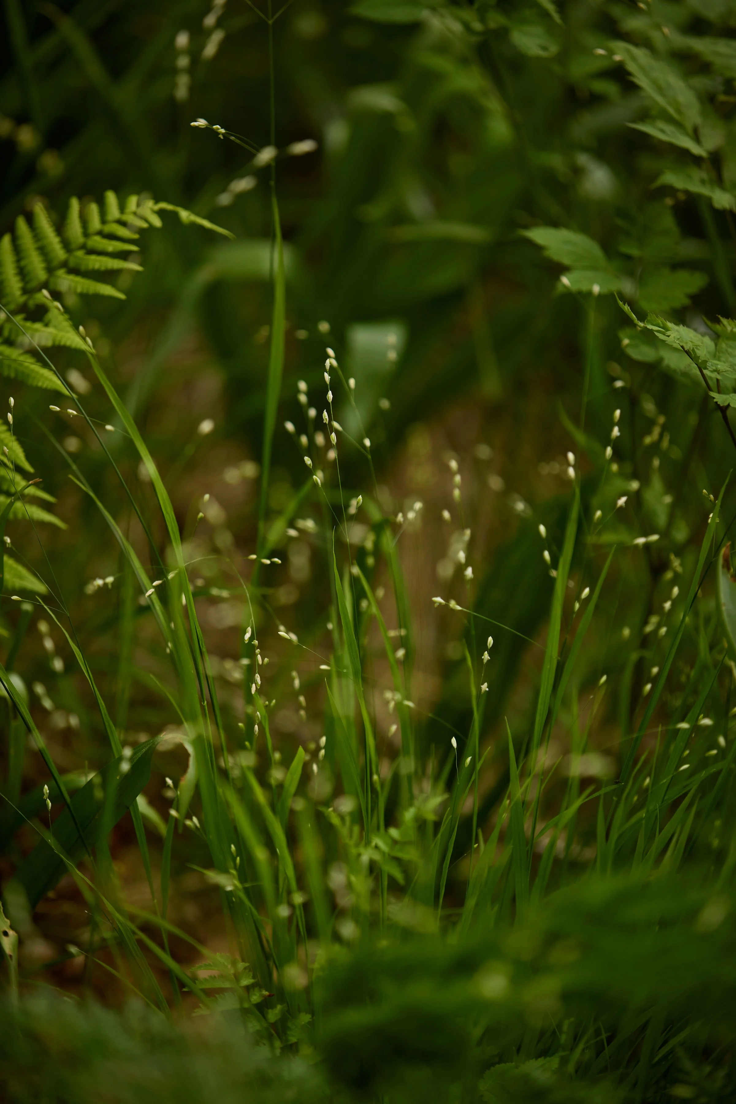 260507_SMLA_Hilversum_A_002228.jpg