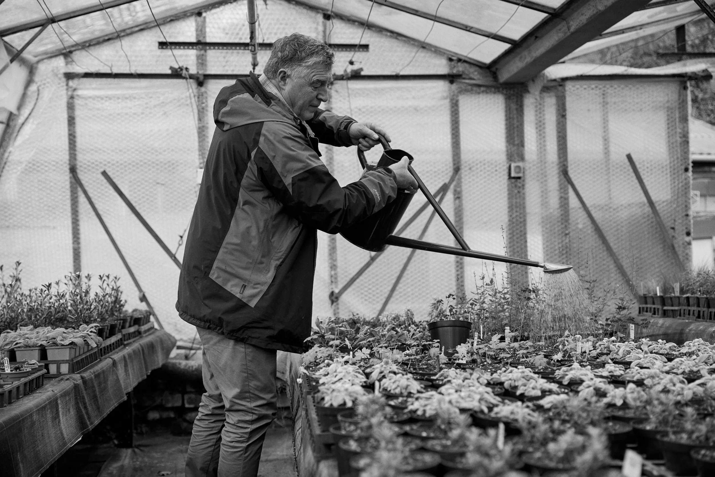 231221_Hooton's_Walled_Nursery_02678 1.jpg