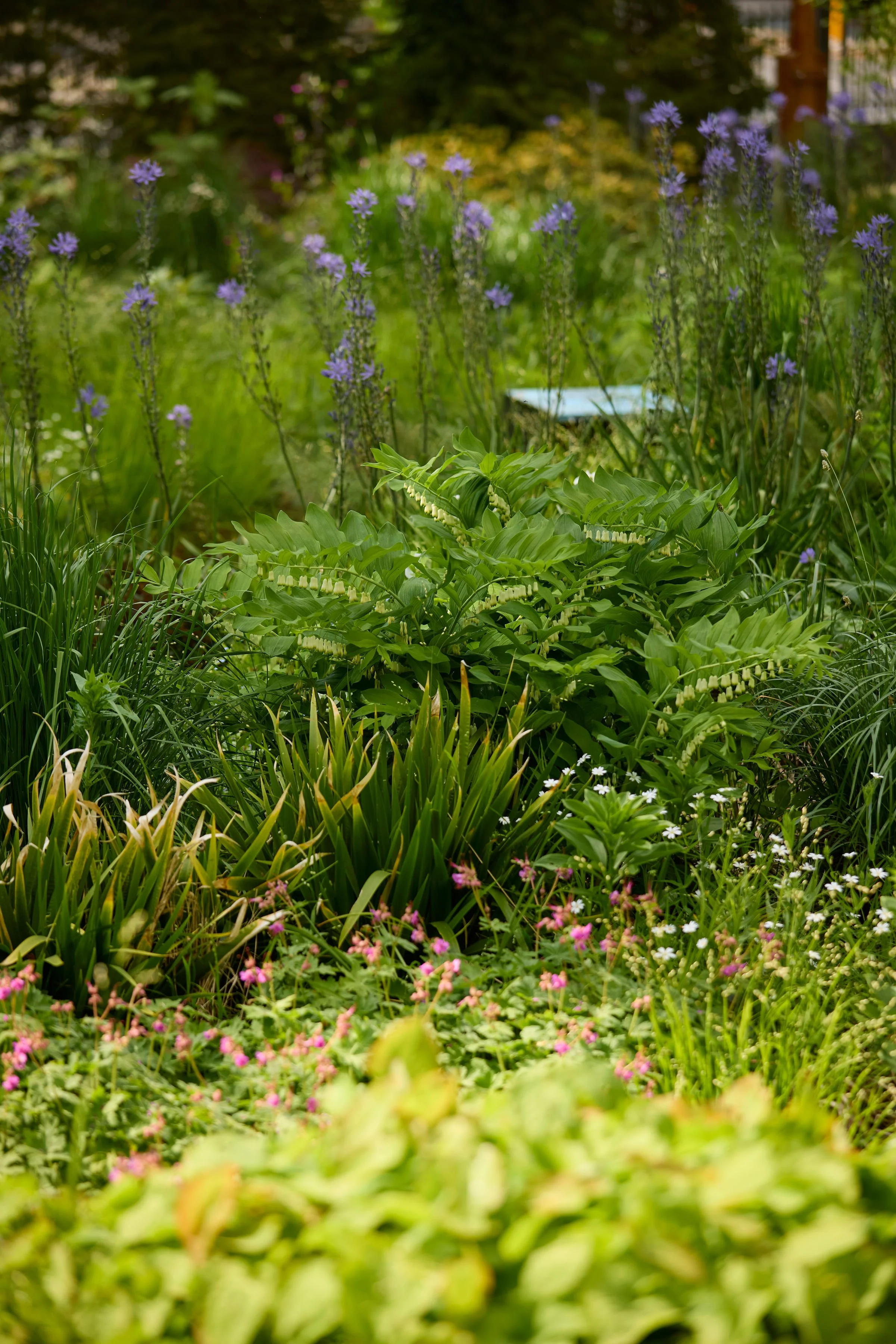 260507_SMLA_Hilversum_B_003107.jpg